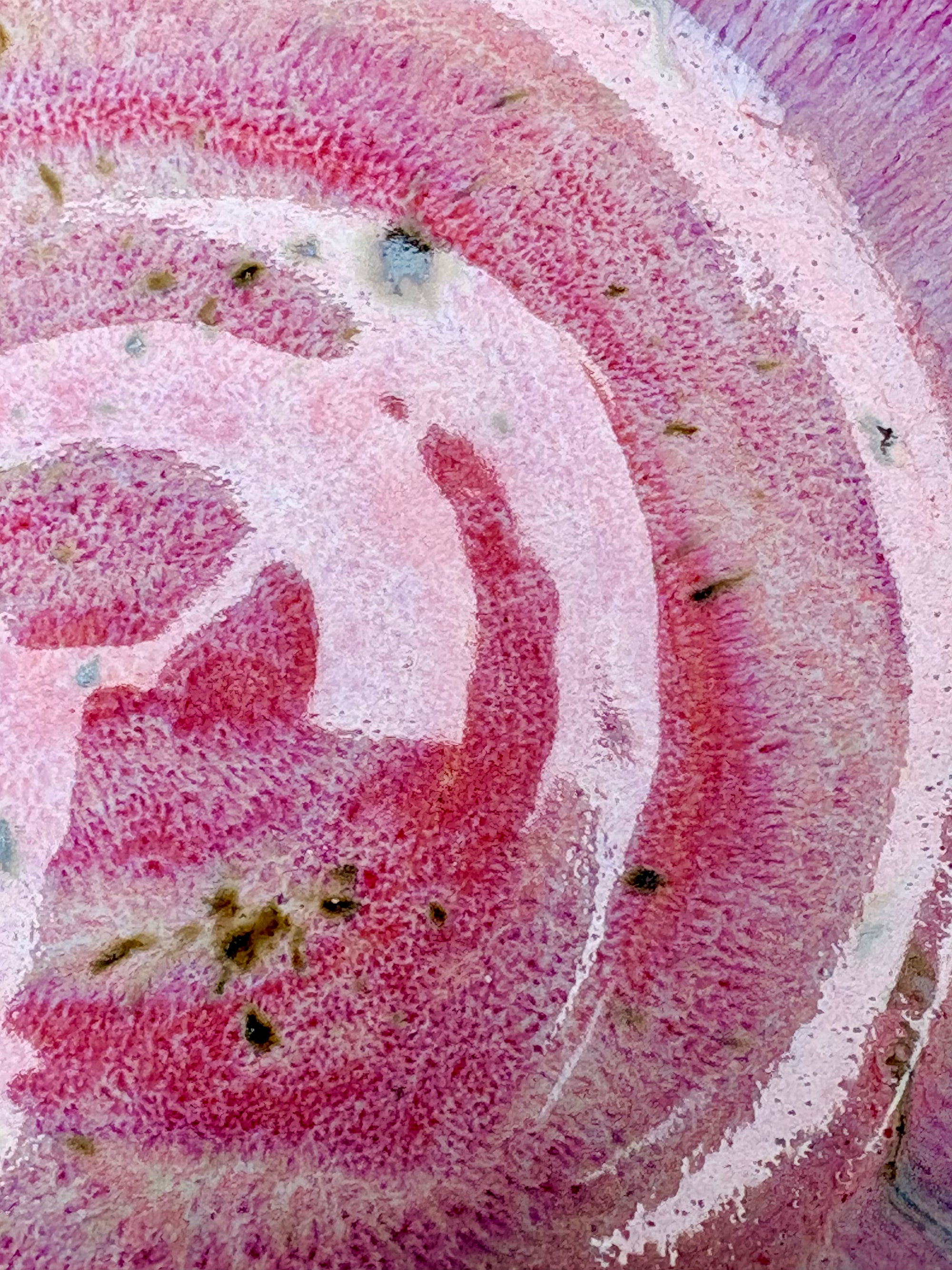 "fuck off, I'm eating" shallow bowl (pink)