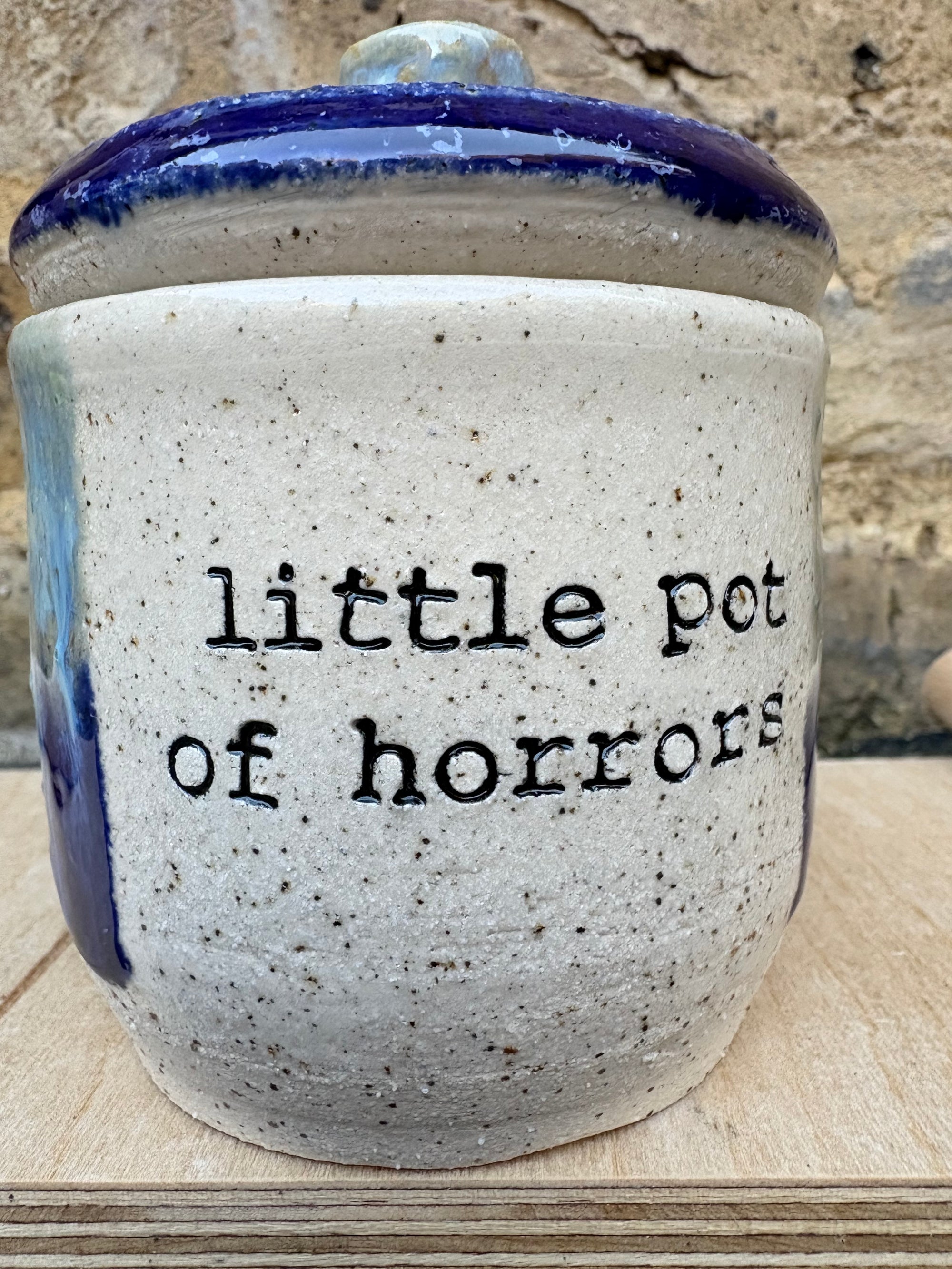 “little pot of horrors" lidded pot (blue night sky)