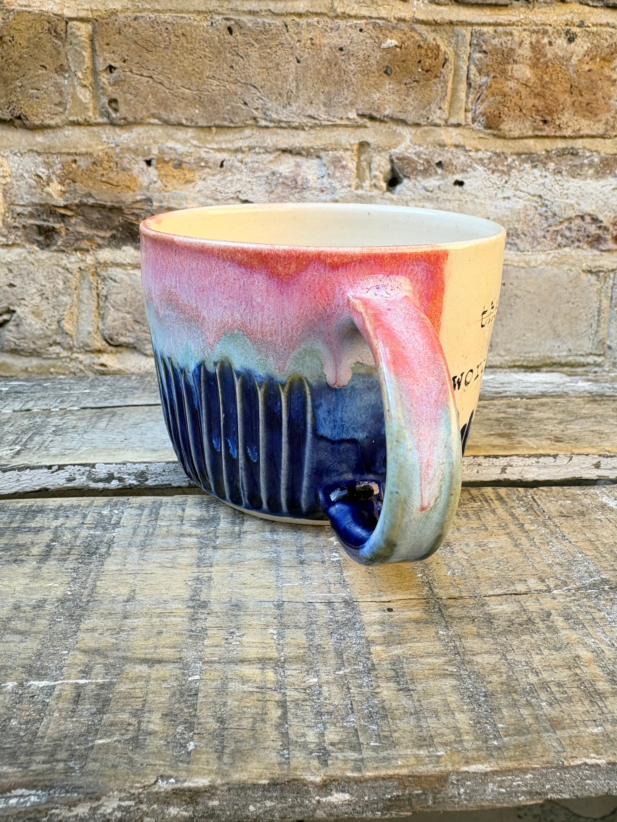 “the correct word is "vulva" mug (pink night sky)