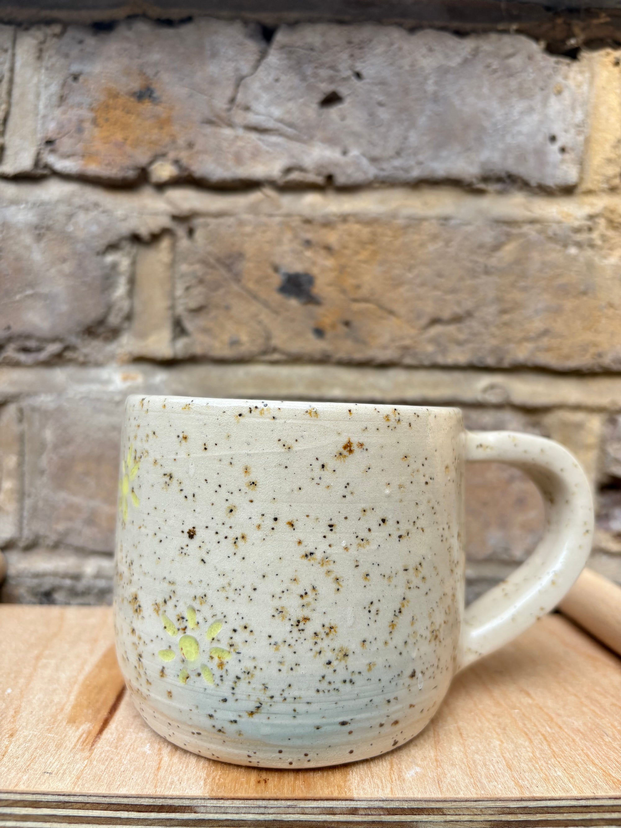 “Fuck off i'm reading" mug (five suns)
