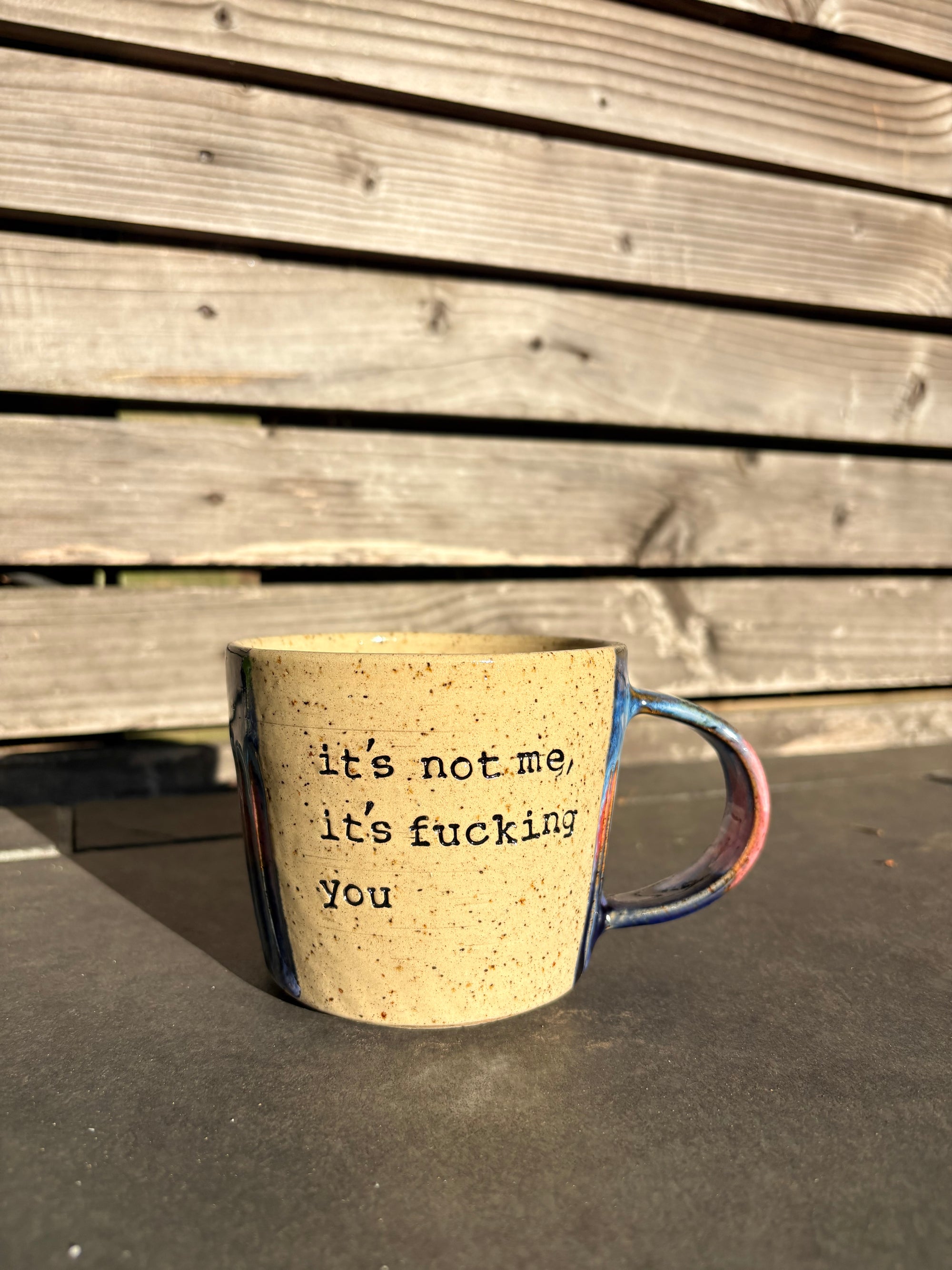 “It’s not me, it’s fucking you” blue/pink, 350ml)