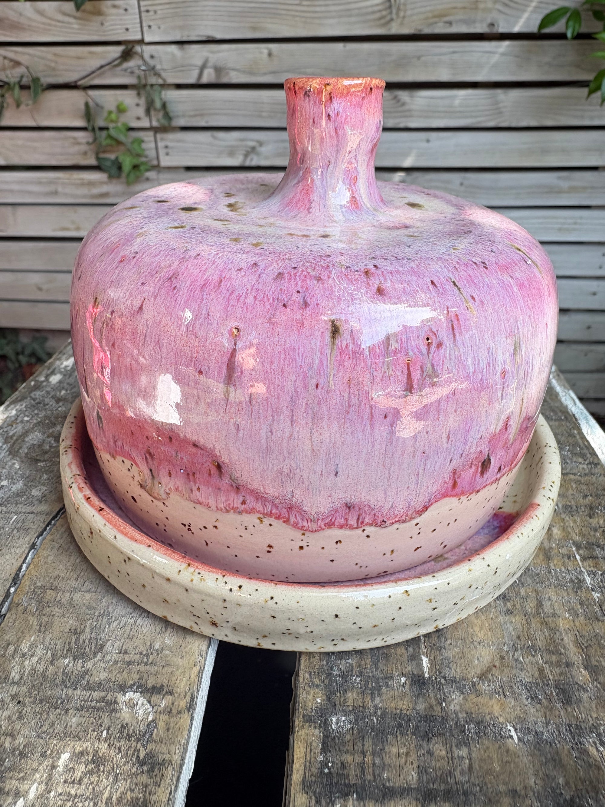 Butter Dish (butter slut, pink wood, flecked clay, knob)