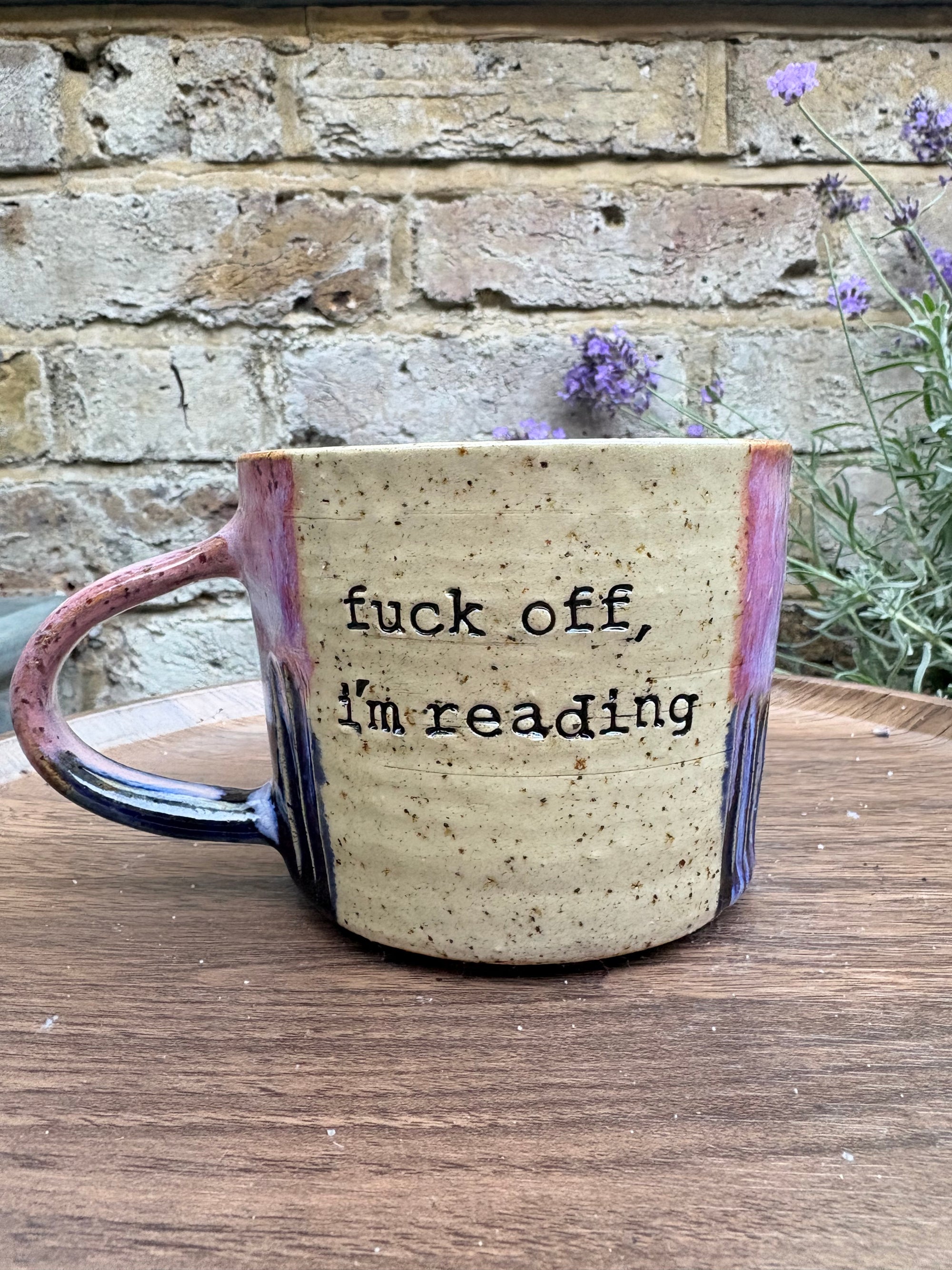 “Fuck off i'm reading" mug (blues/pink)