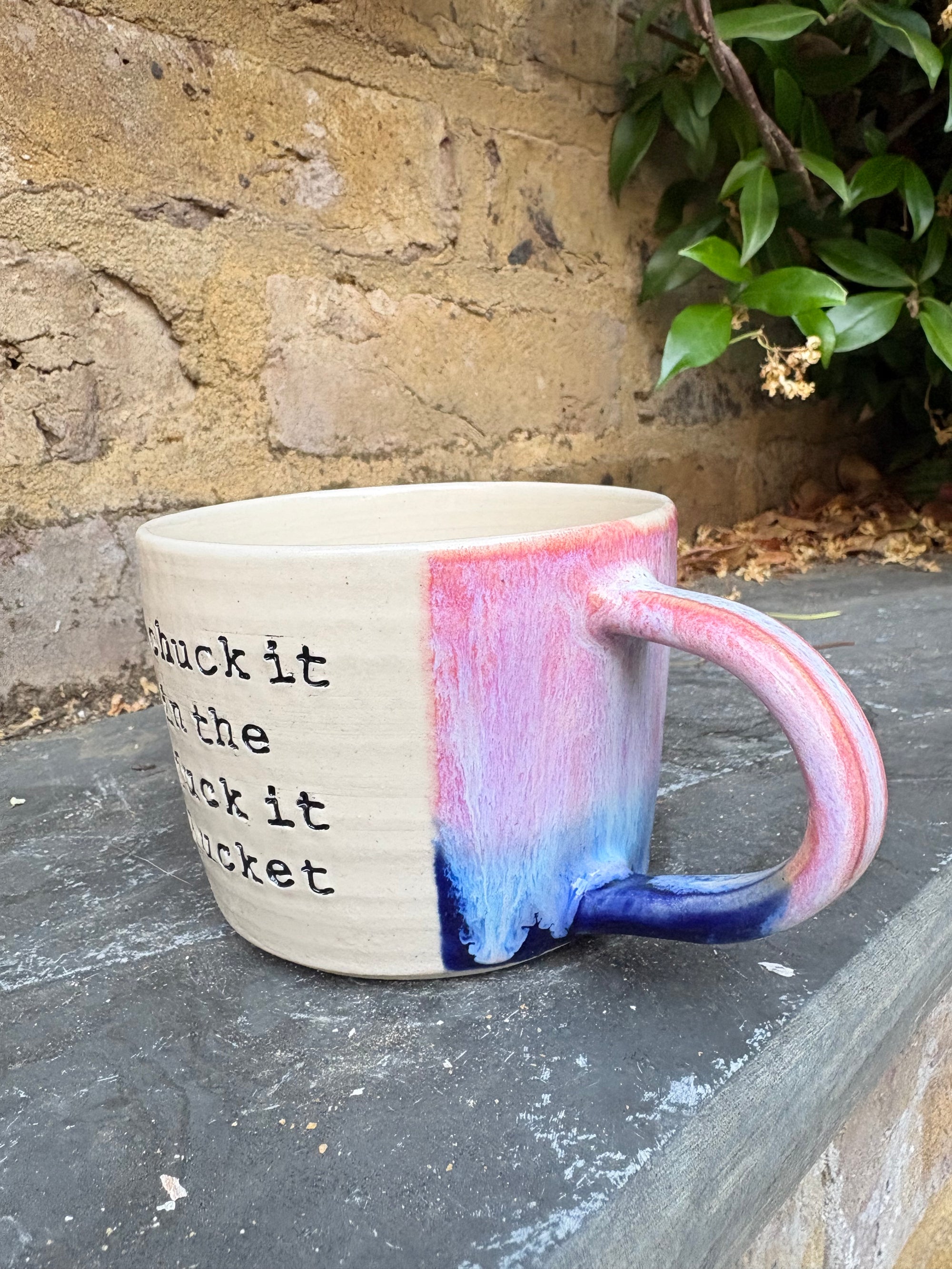 “chuck it in the fuck it bucket" mug (pink/blue, 250ml)