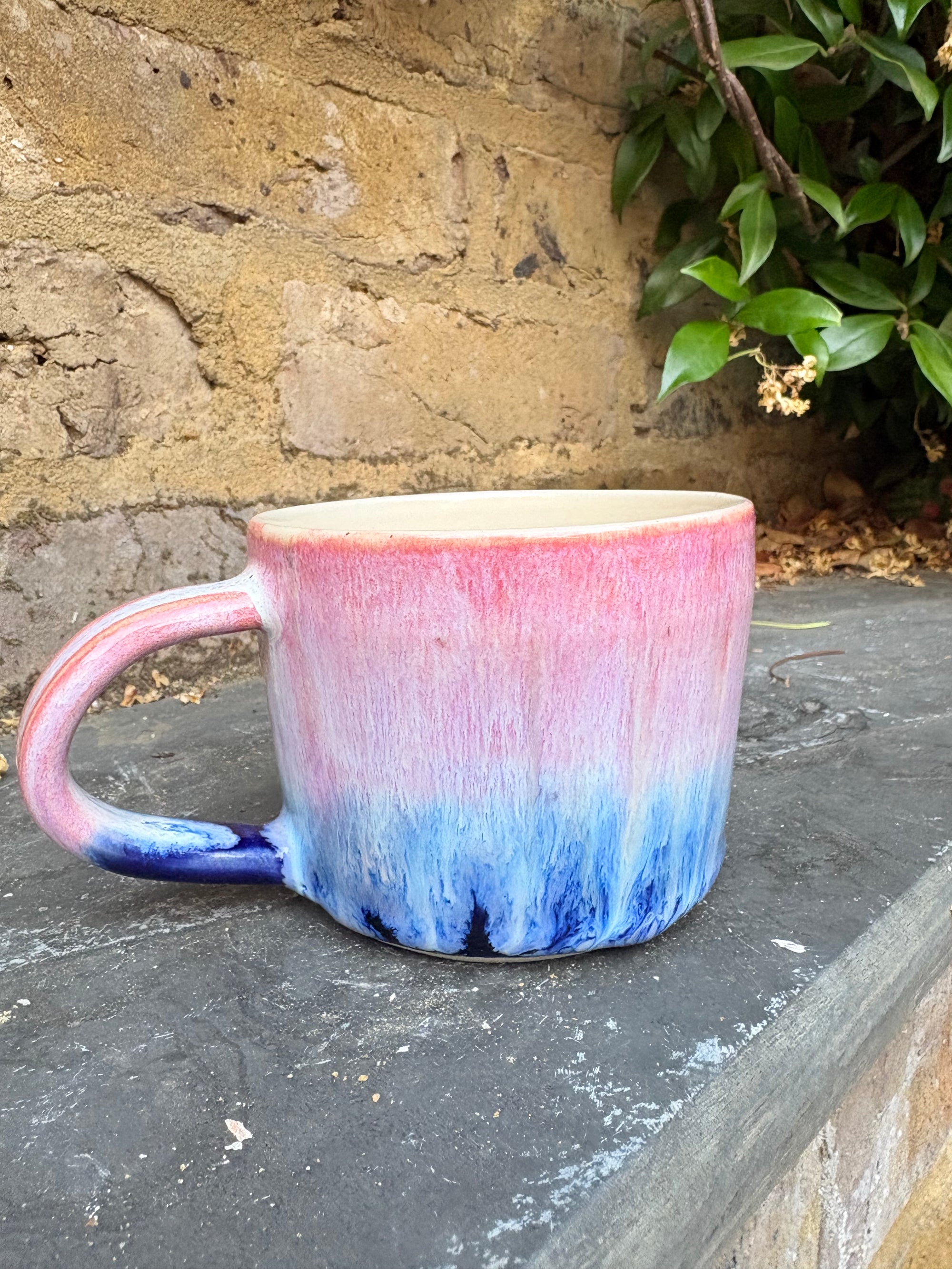 “chuck it in the fuck it bucket" mug (pink/blue, 250ml)