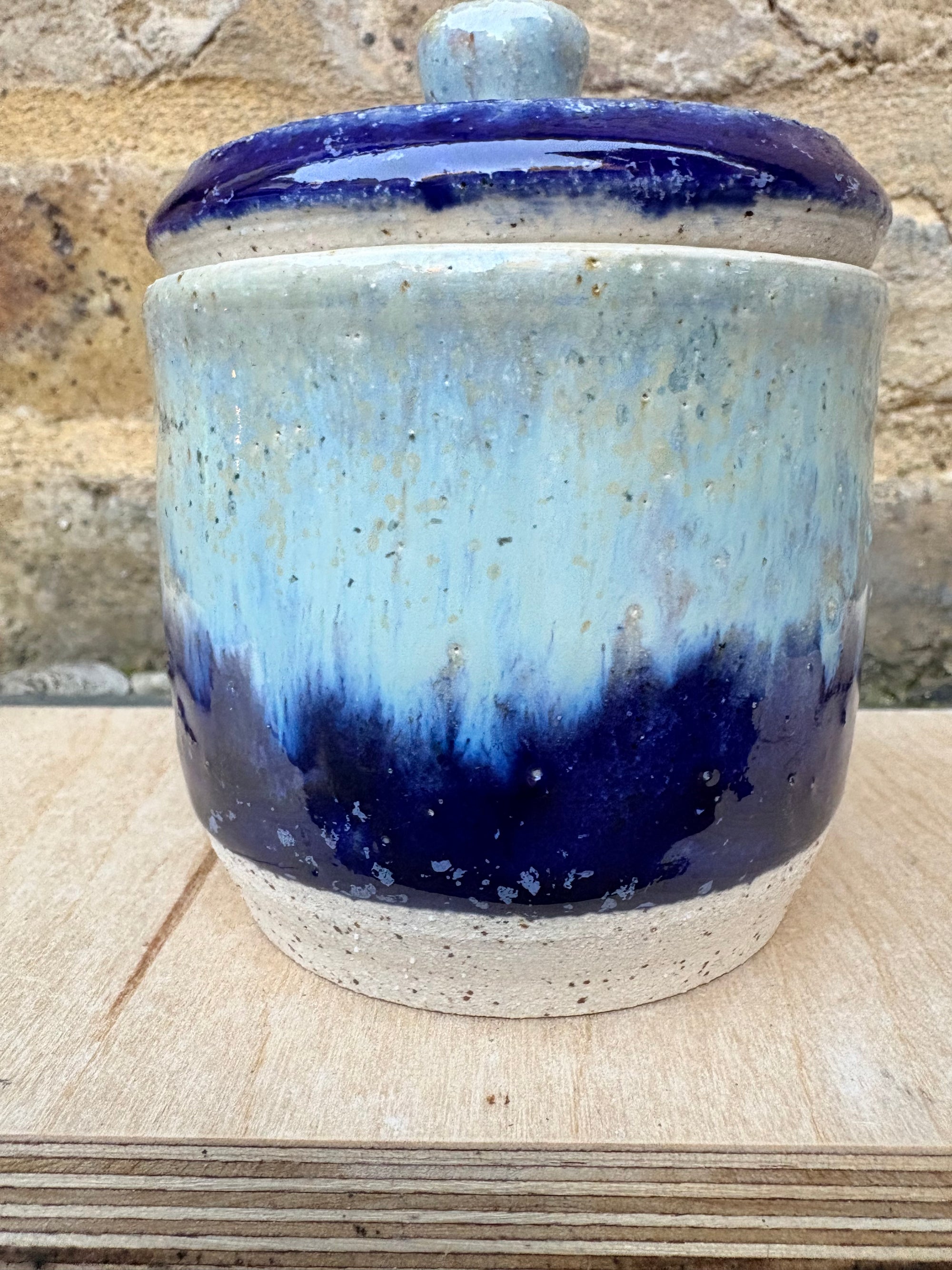 “little pot of horrors" lidded pot (blue night sky)