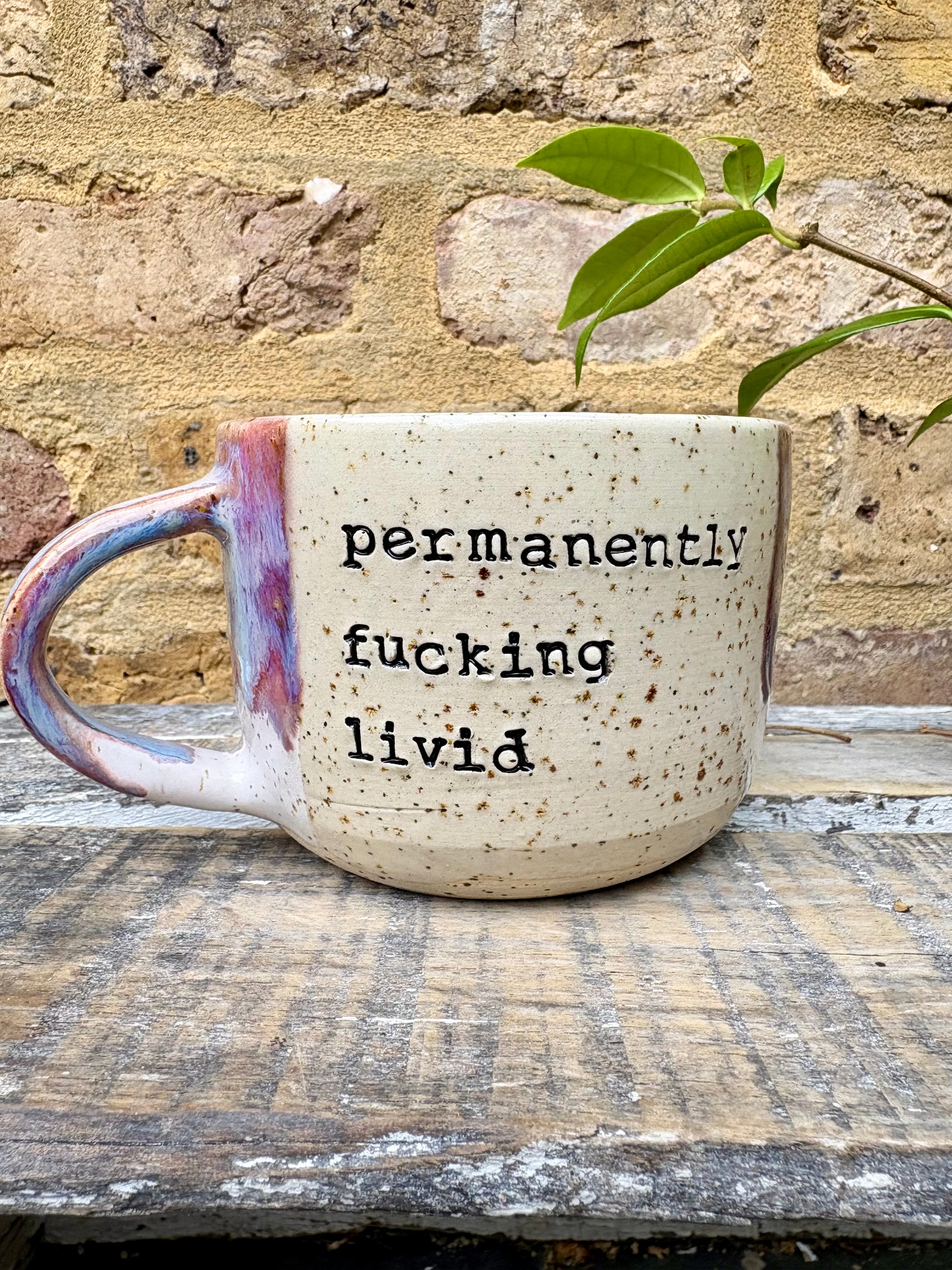“permanently fucking livid” mug (purple)