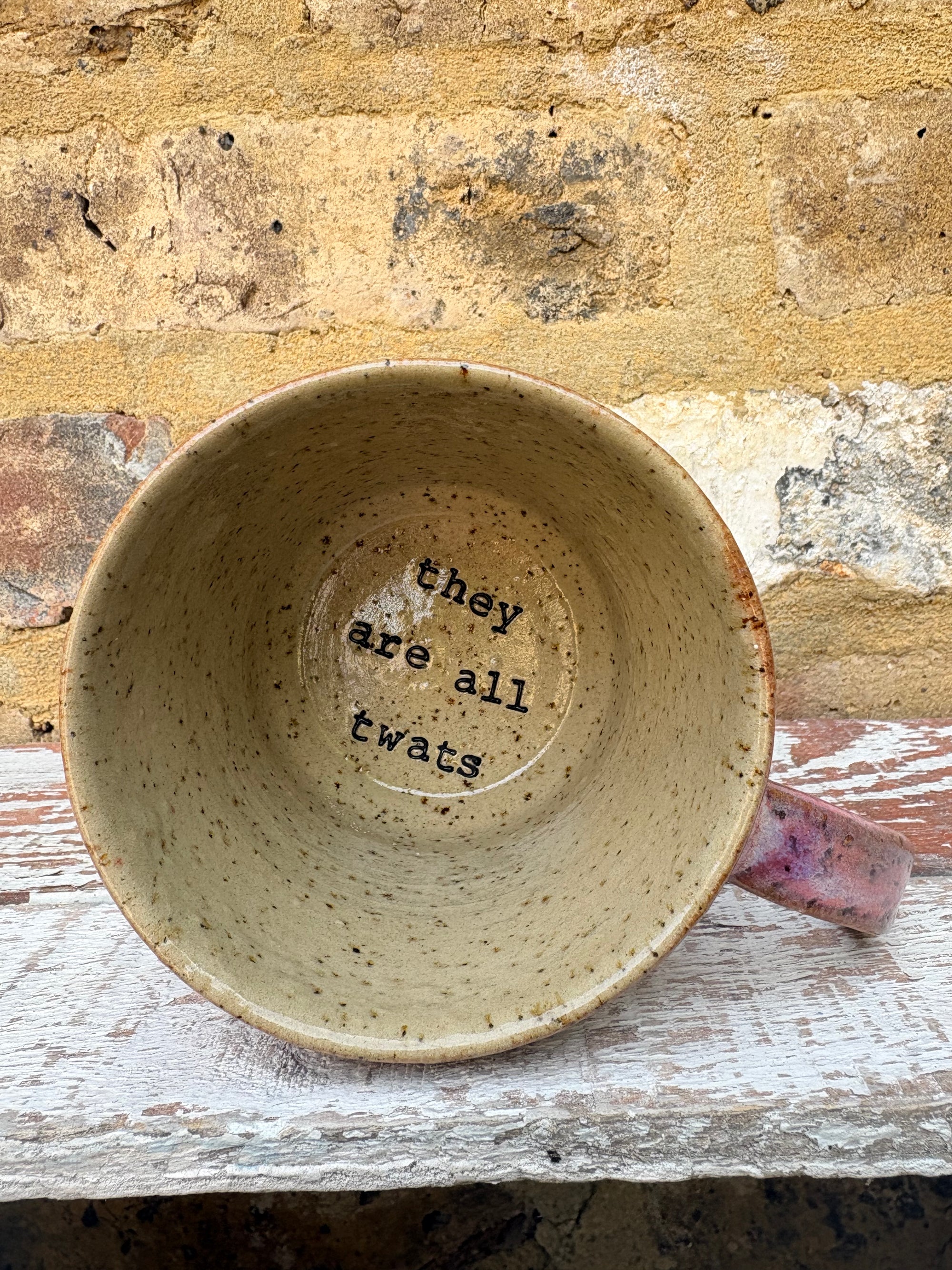 "they are all twats"  mug (pink)