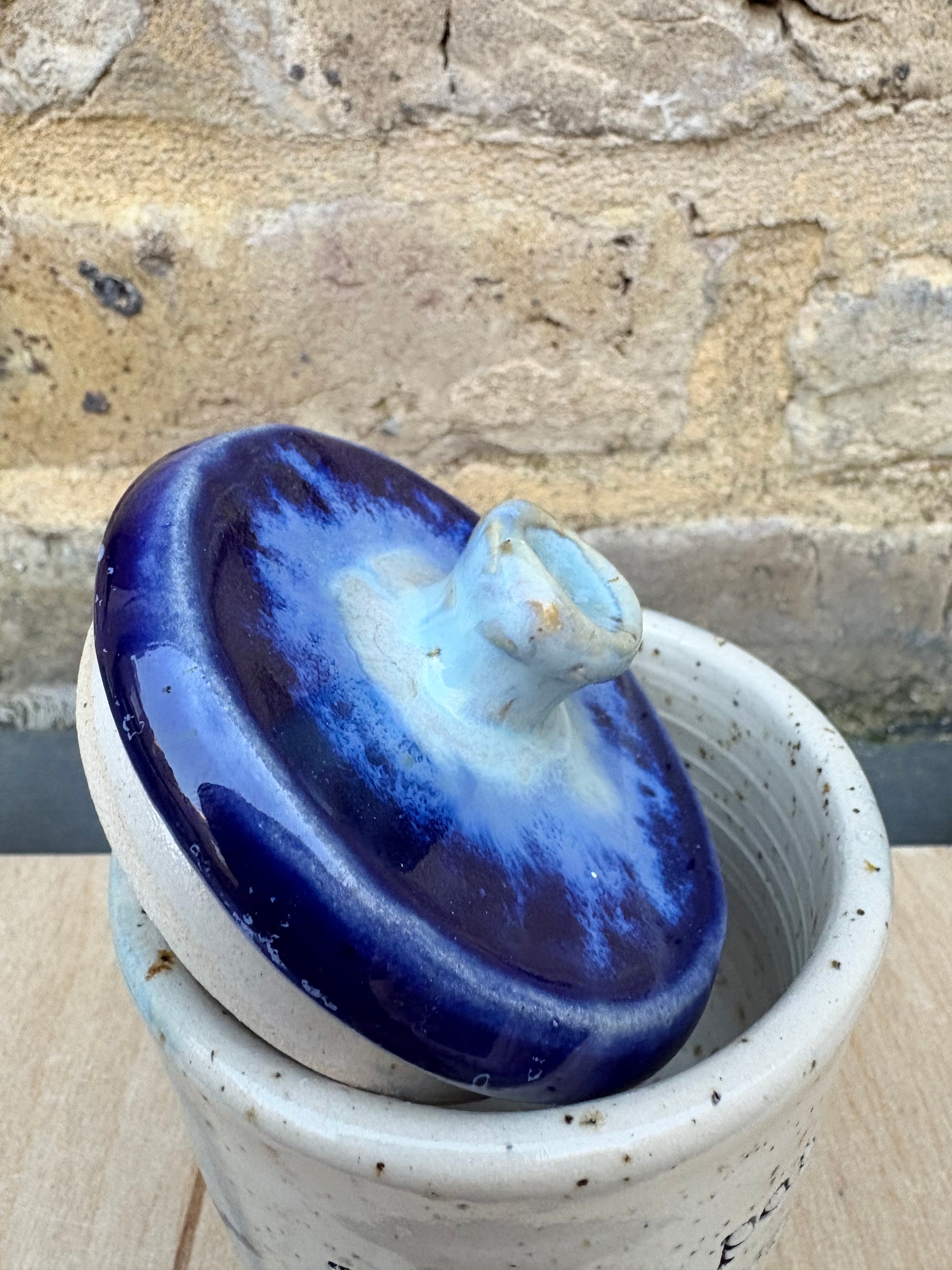 “little pot of horrors" lidded pot (blue night sky)