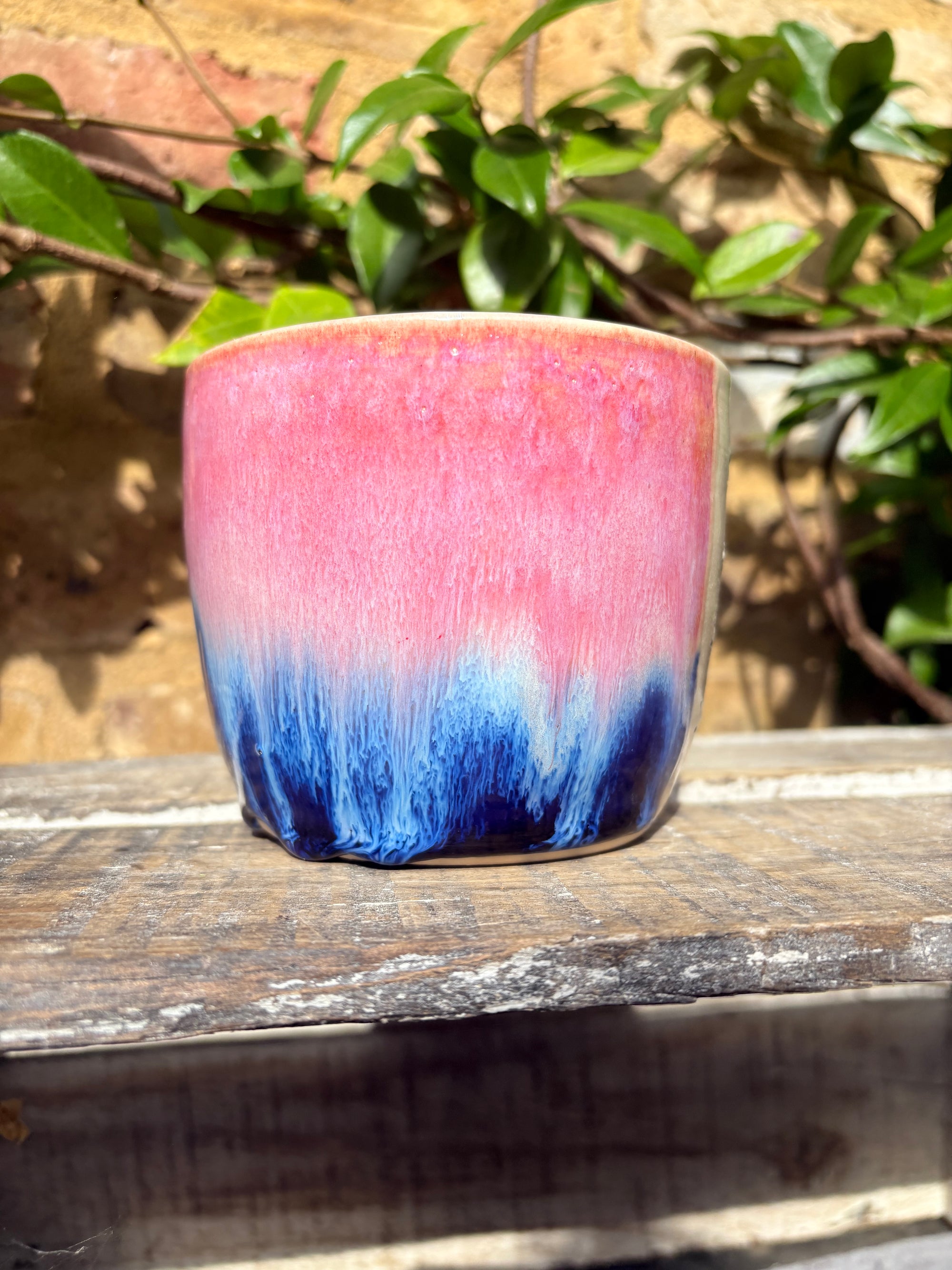 XL “i’m smiling and nodding but i think you’re a twat” mug (Pink/blue)