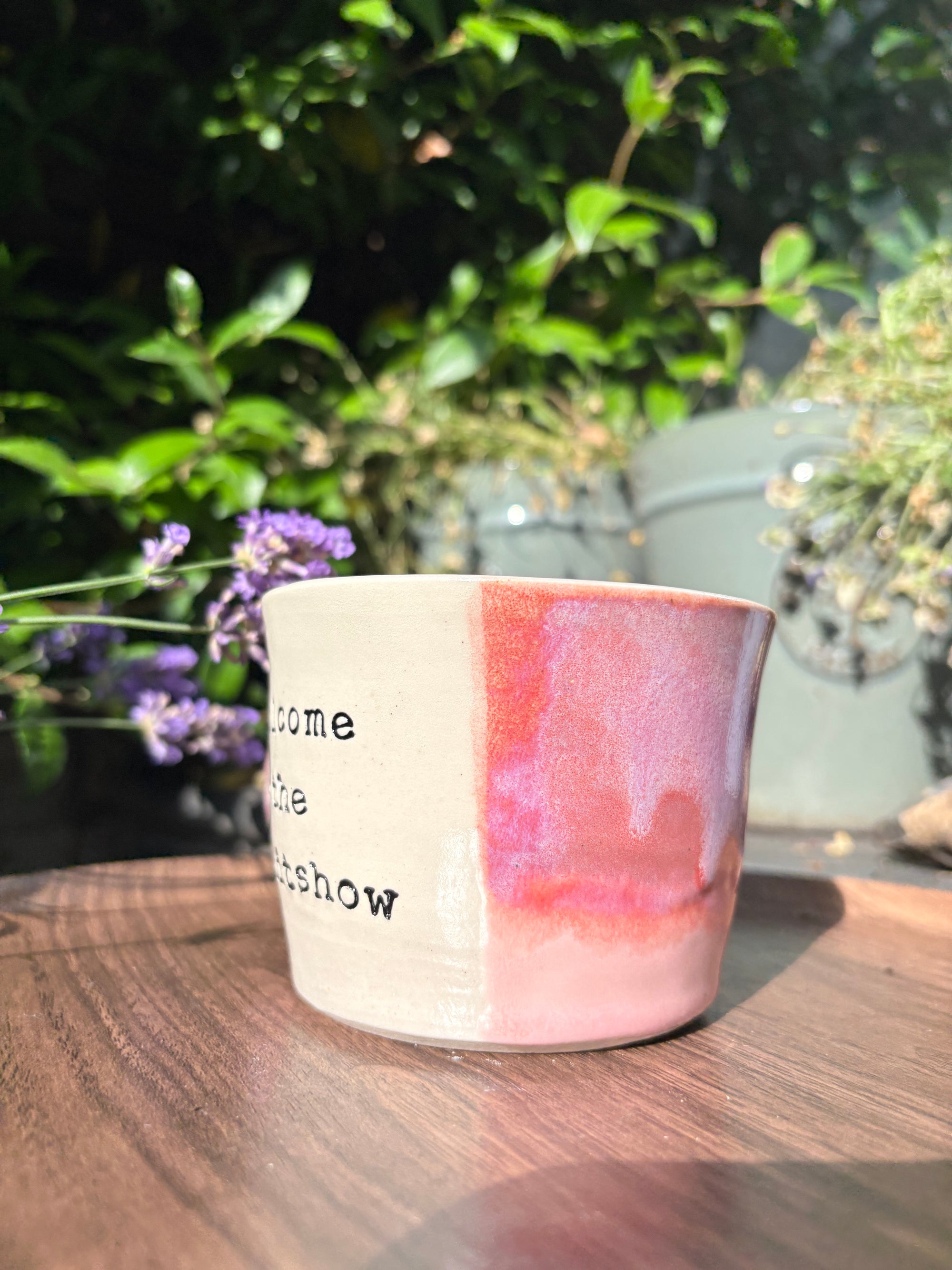 “welcome to the shit show" mug (Pink)