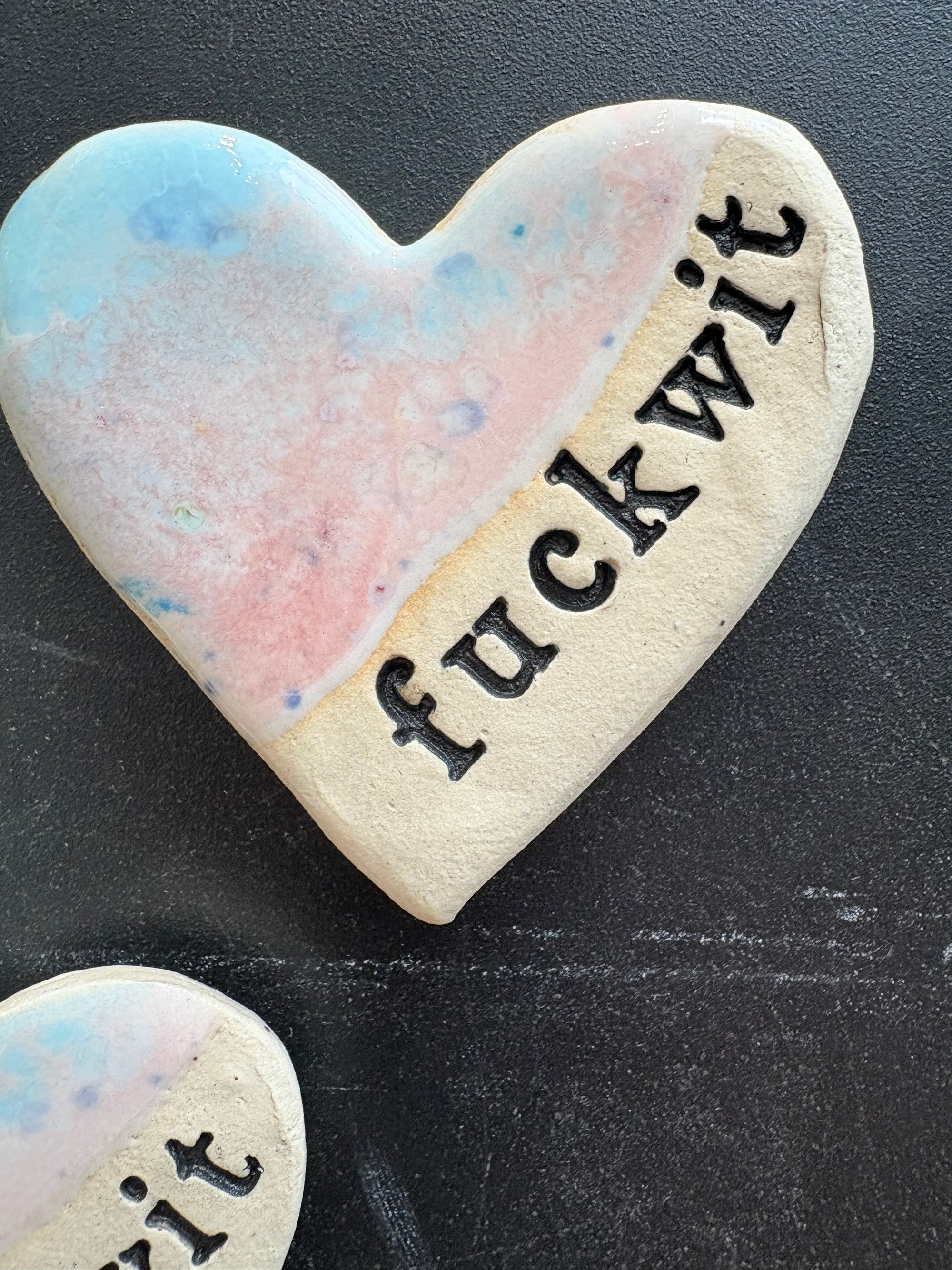 Fuckwit Magnet (blue/pink)