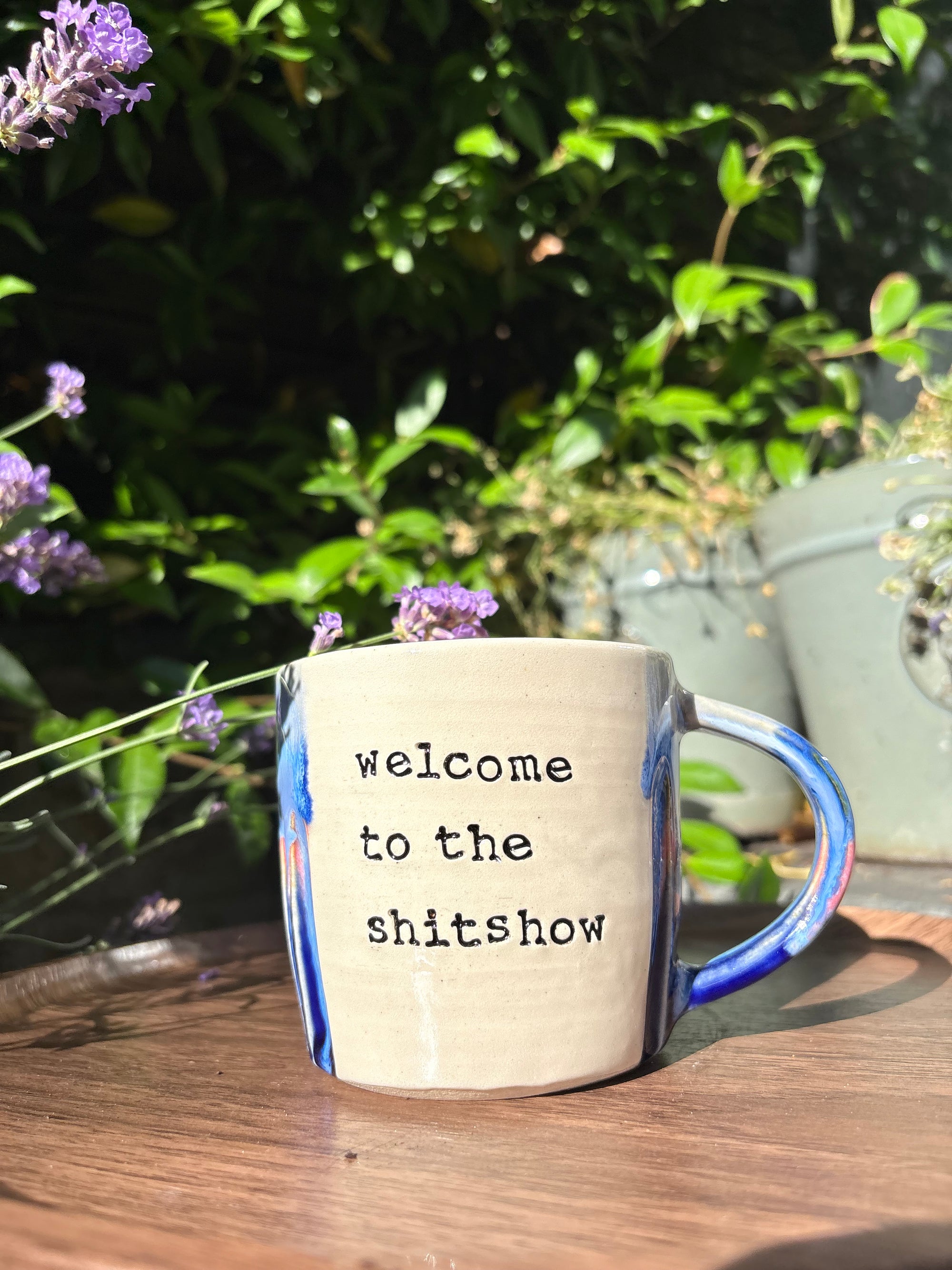 “welcome to the shit show" mug (Blue Night Sky)
