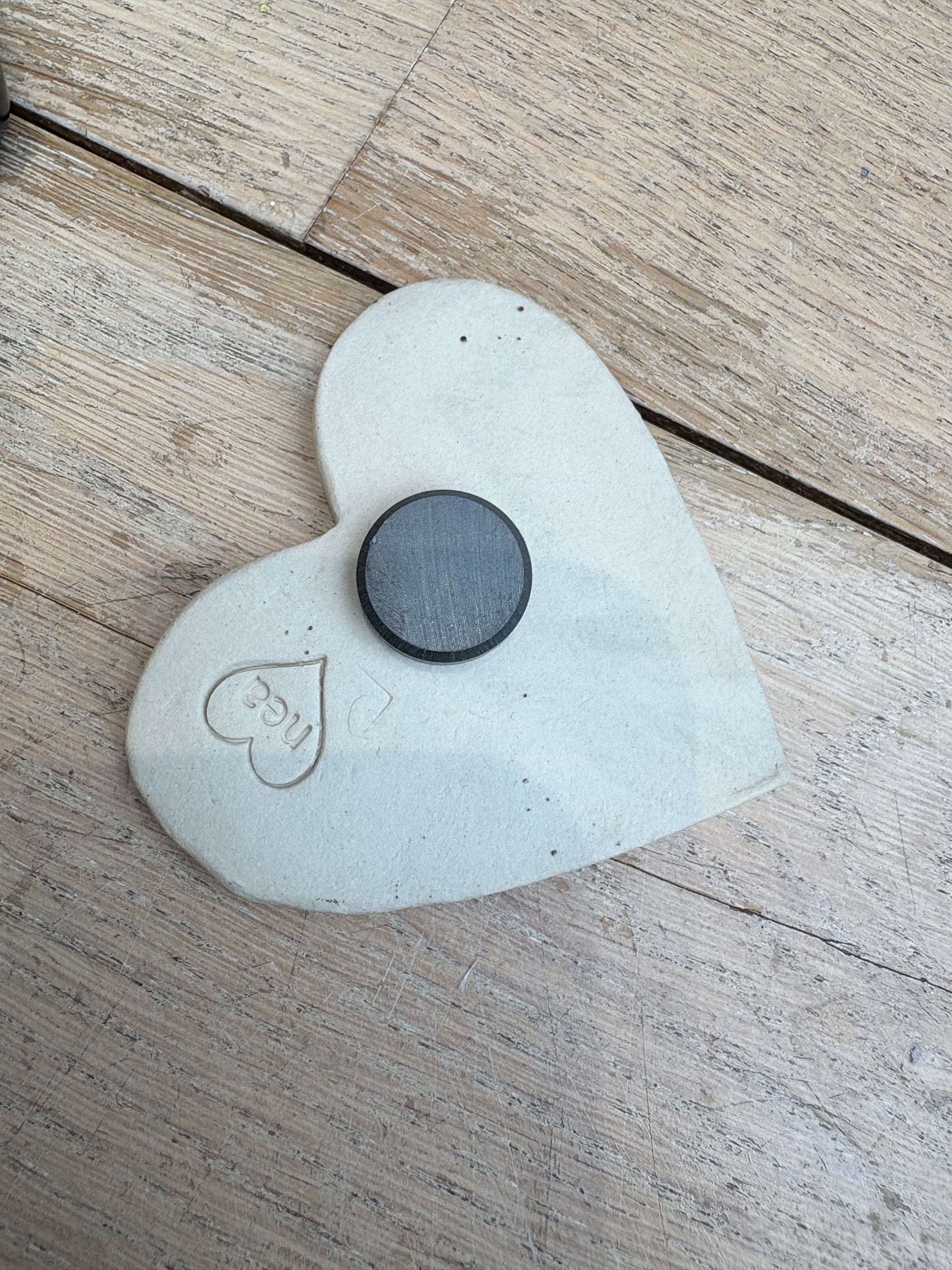 Fuckwit Magnet (blue/pink)