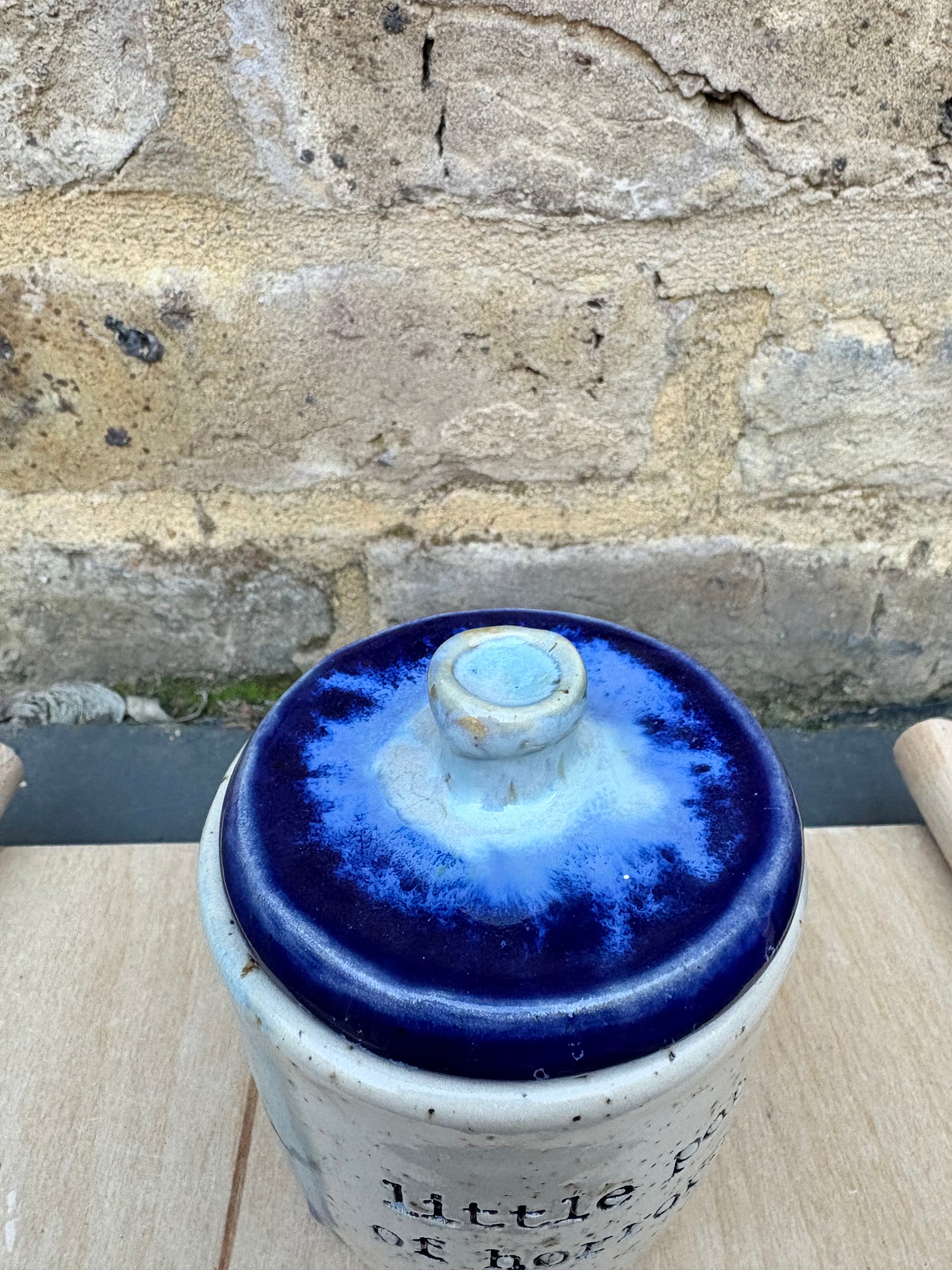 “little pot of horrors" lidded pot (blue night sky)
