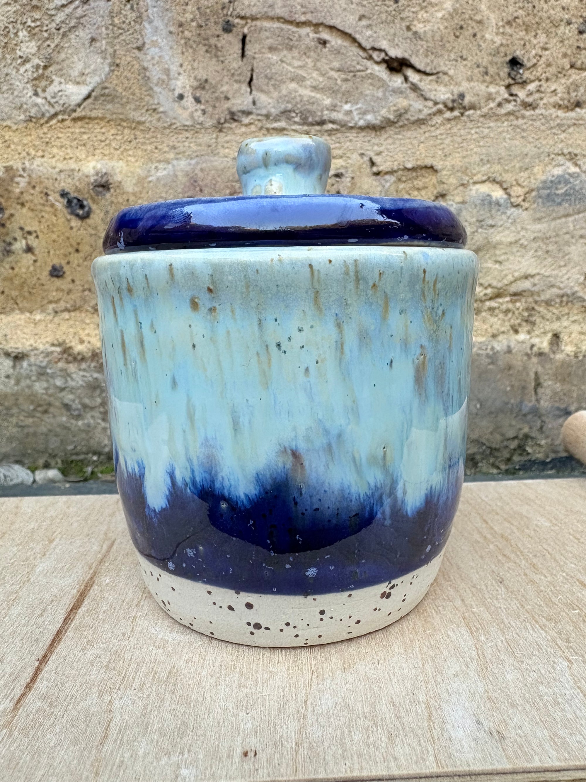 “little pot of horrors" lidded pot (blue night sky)