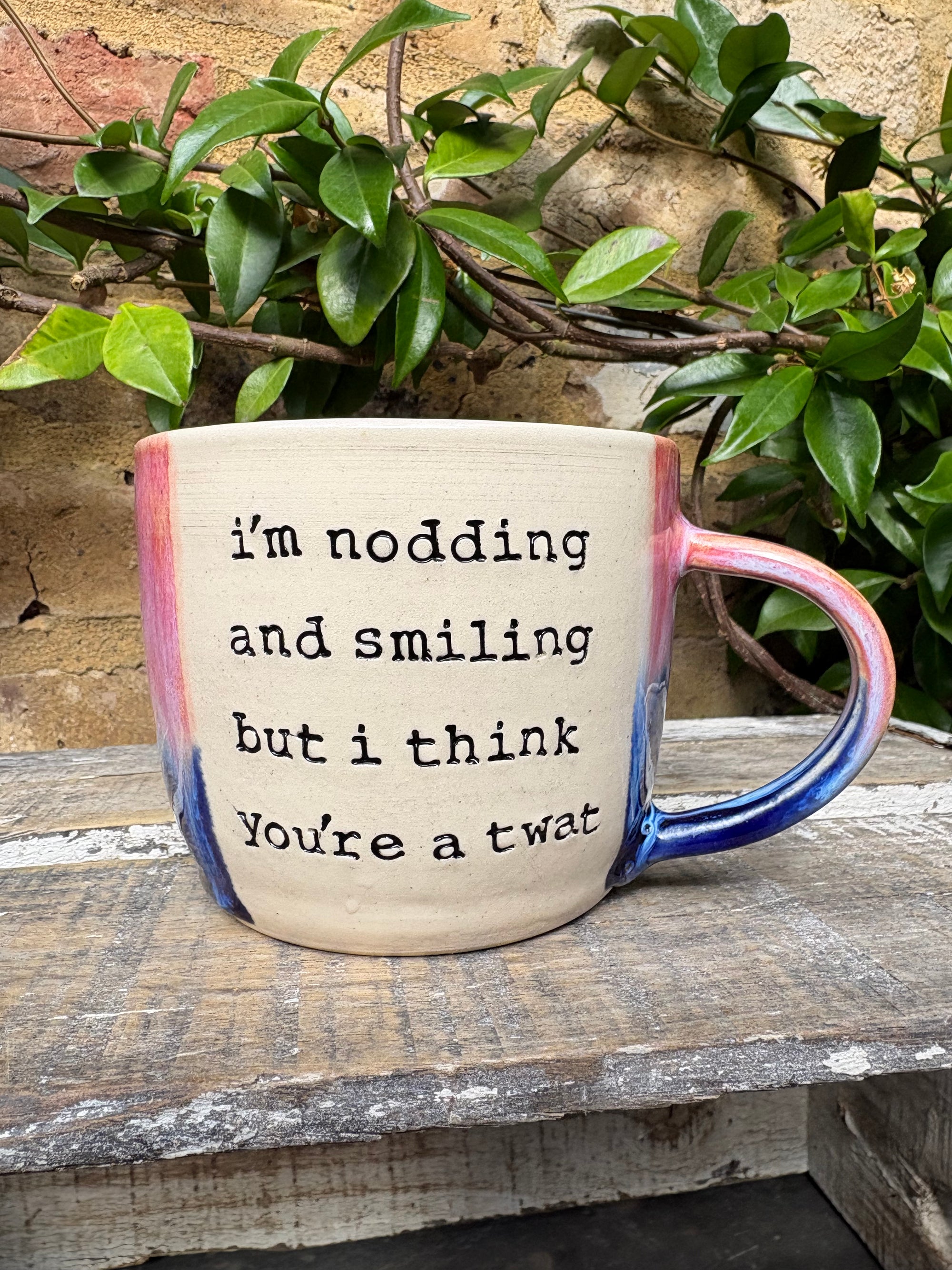 XL “i’m smiling and nodding but i think you’re a twat” mug (Pink/blue)