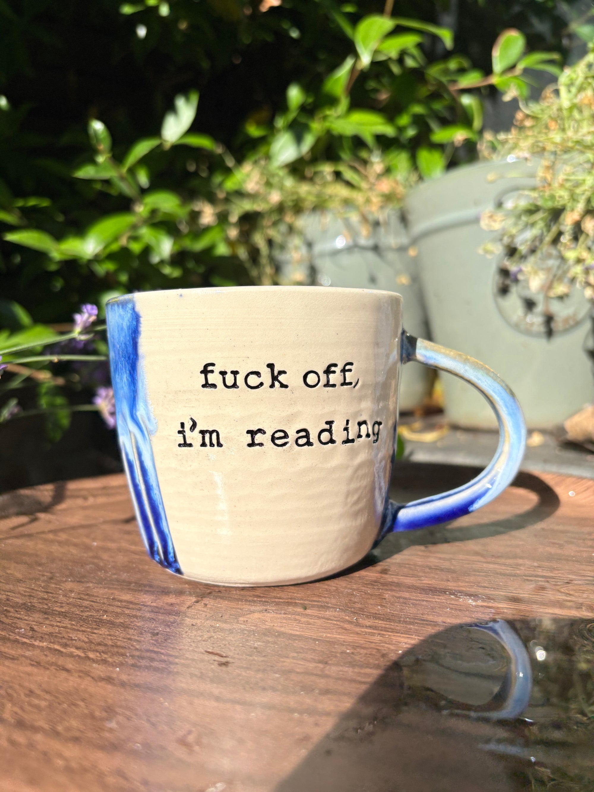 “Fuck off i'm reading" mug (blues)
