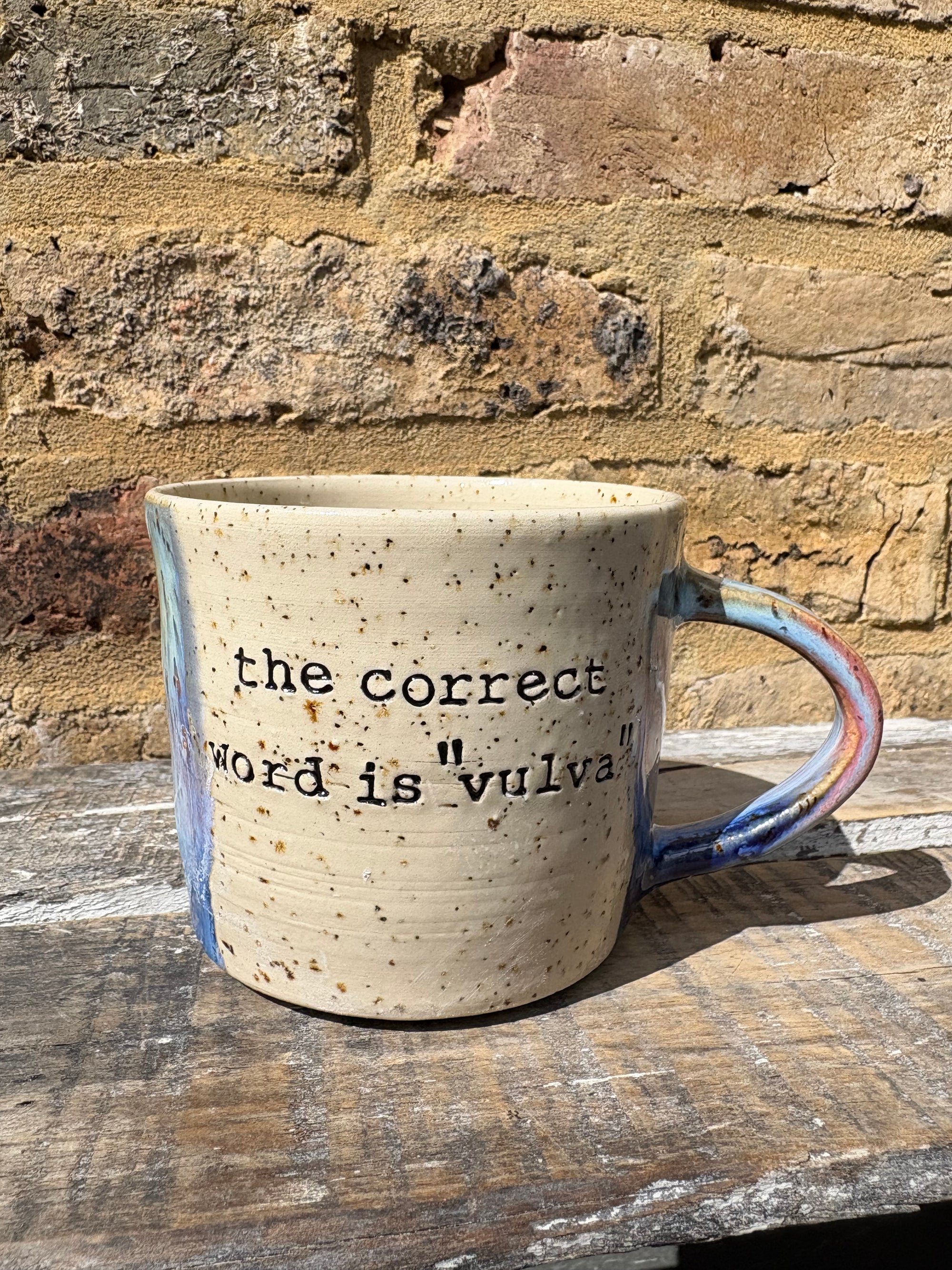 “the correct word is "vulva" mug (pink night sky)