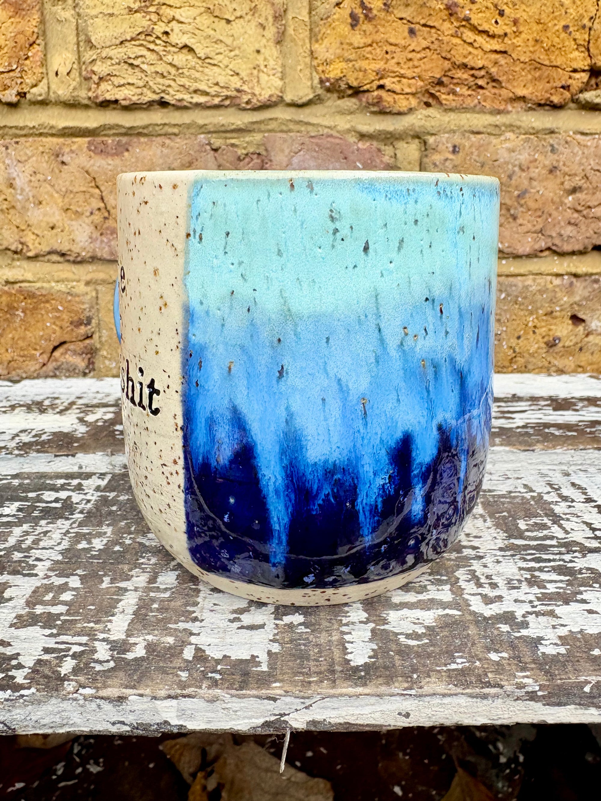 "cute but bat shit" mug