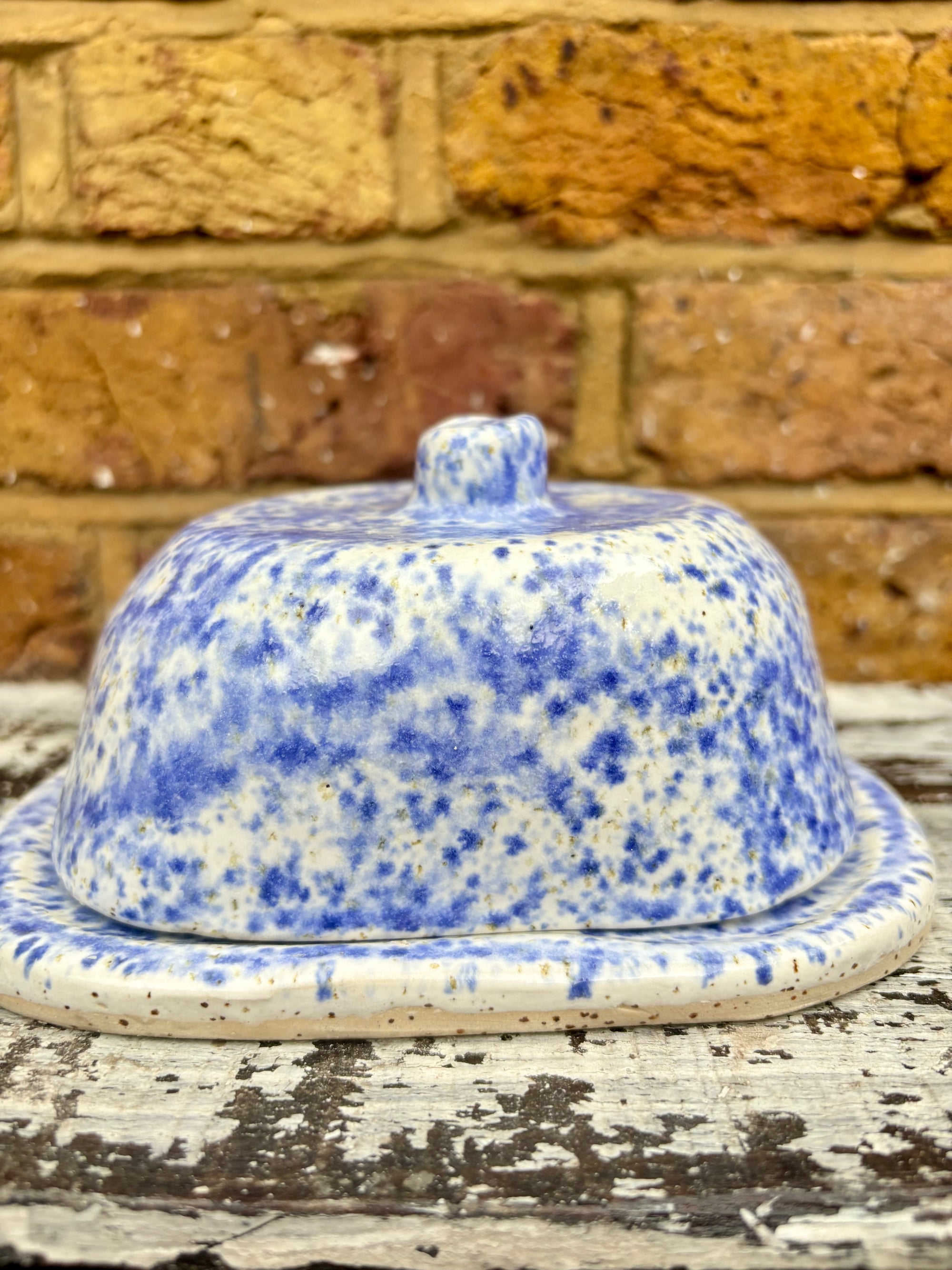 Butter Dish (butter slut, speckle blue)