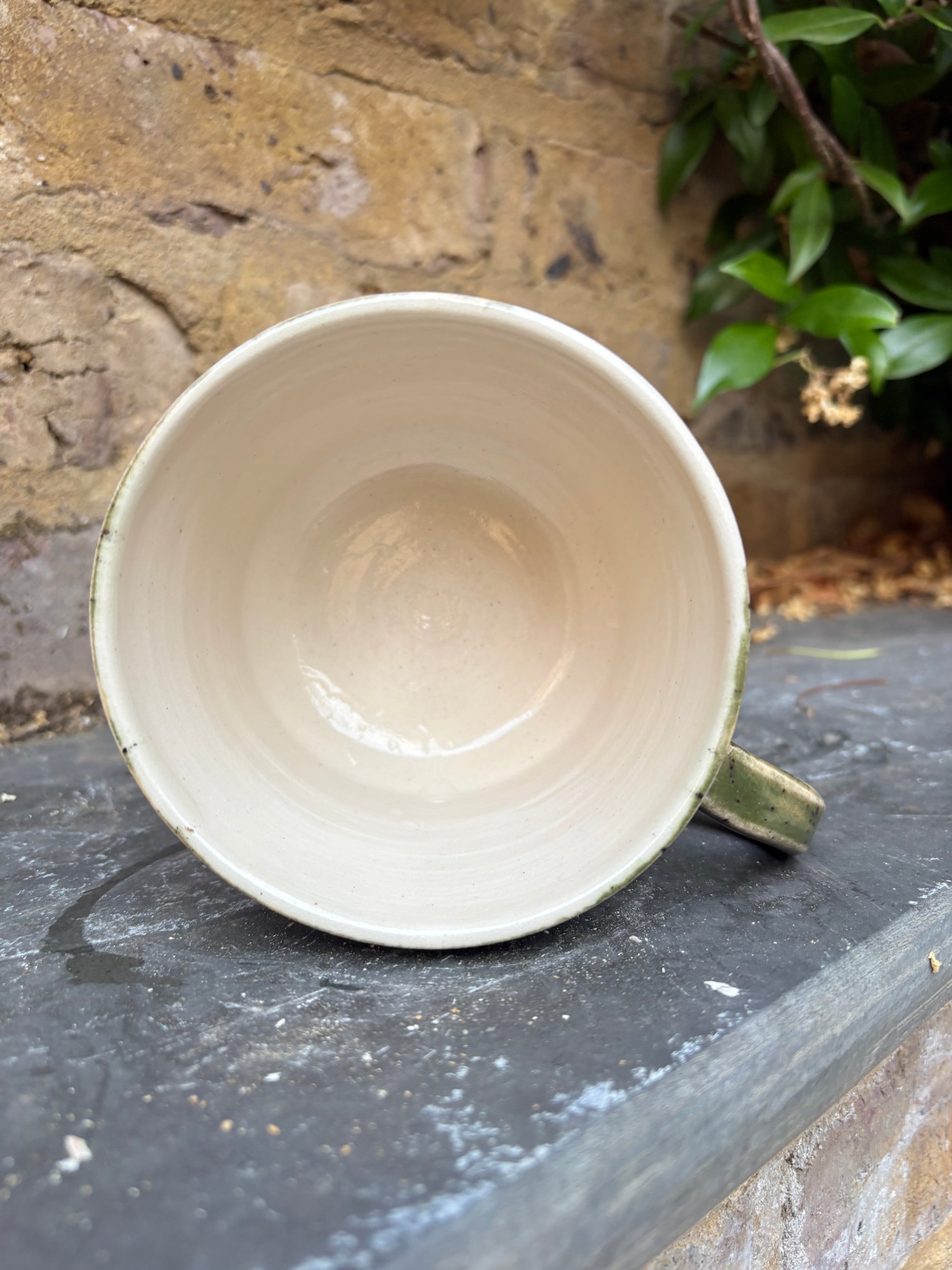 “chuck it in the fuck it bucket" mug (green speckle, 380ml)