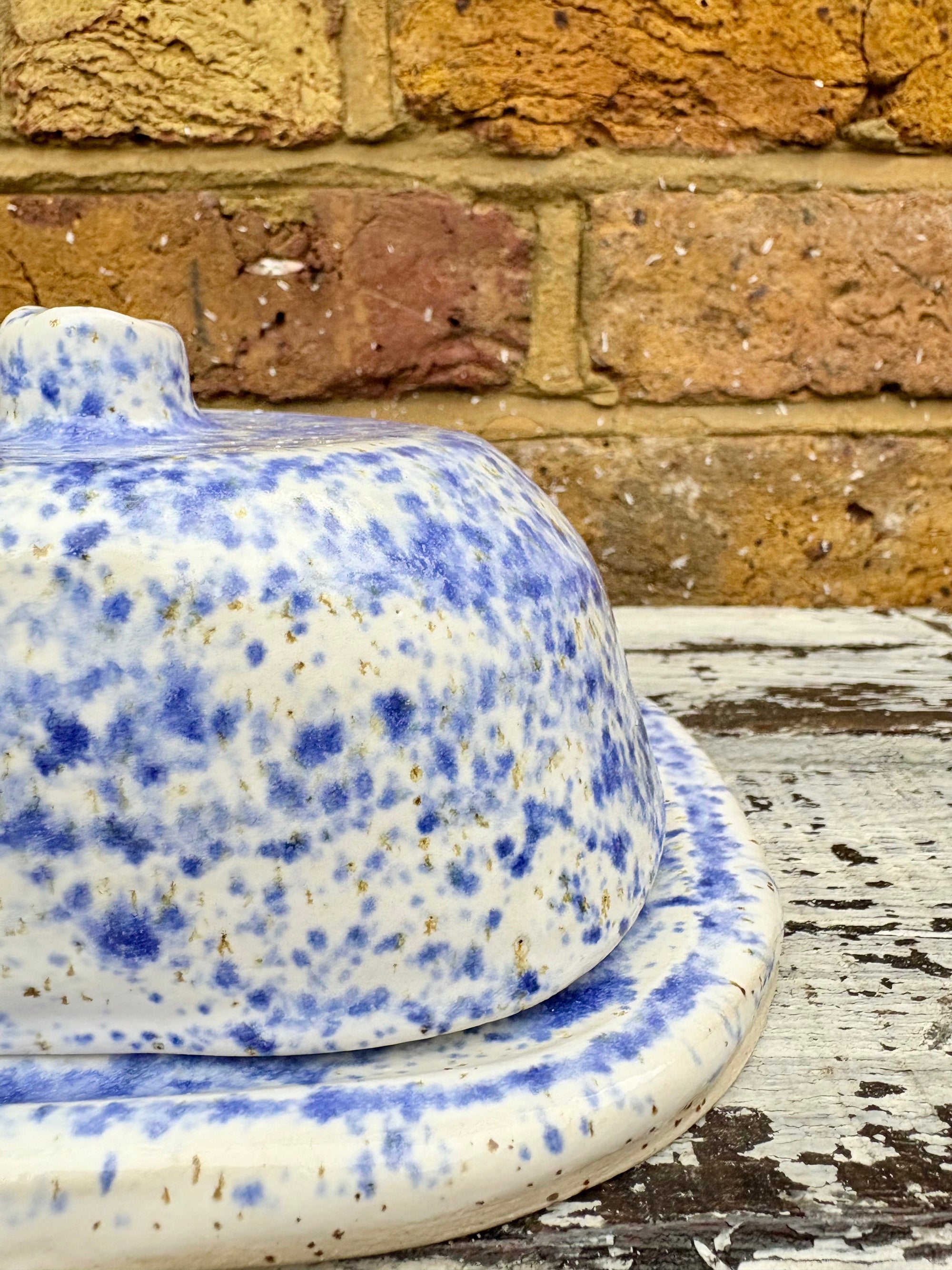 Butter Dish (butter slut, speckle blue)