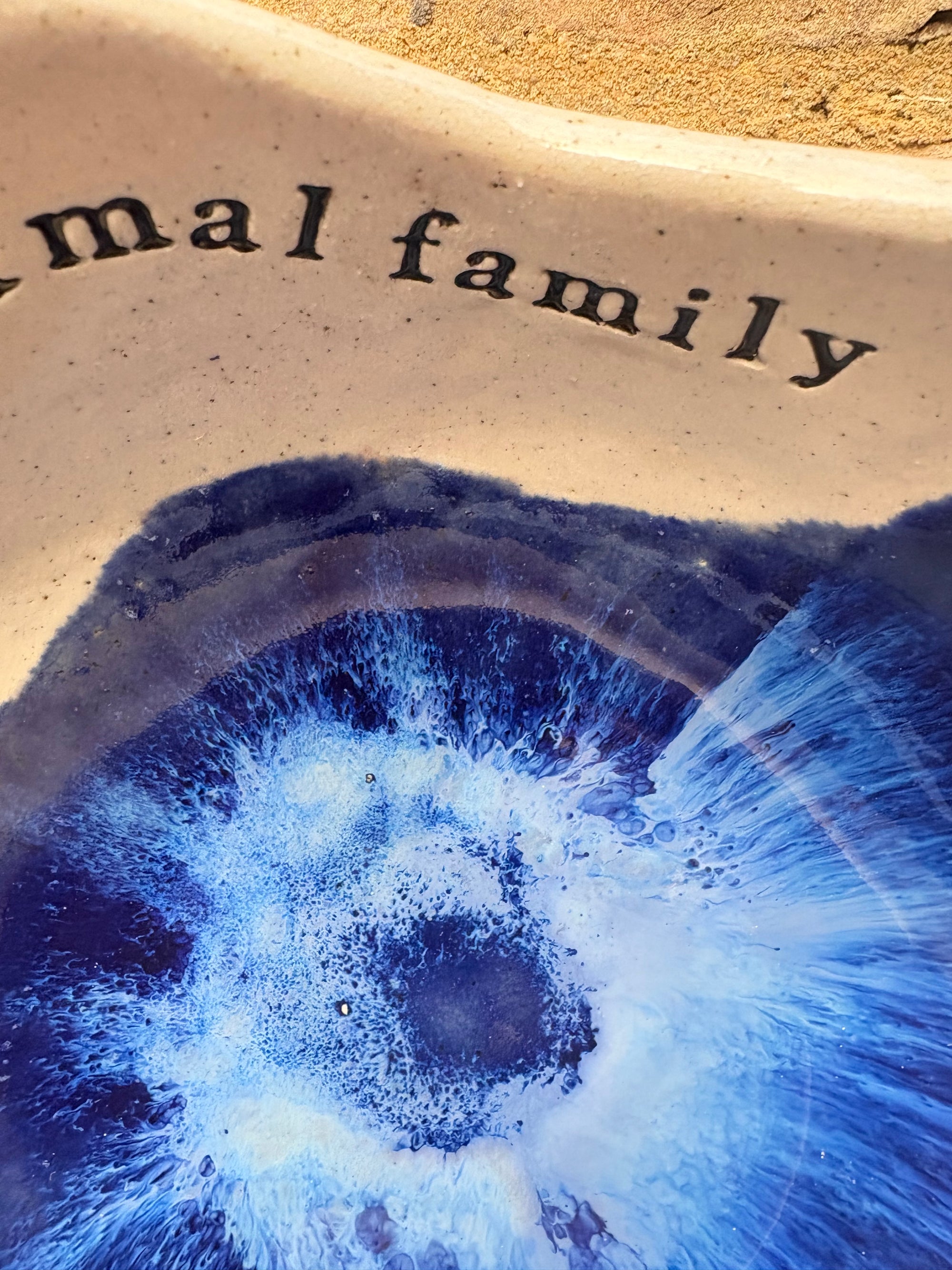 "If anyone asks, we're a nice normal family" Deep Blue bowl