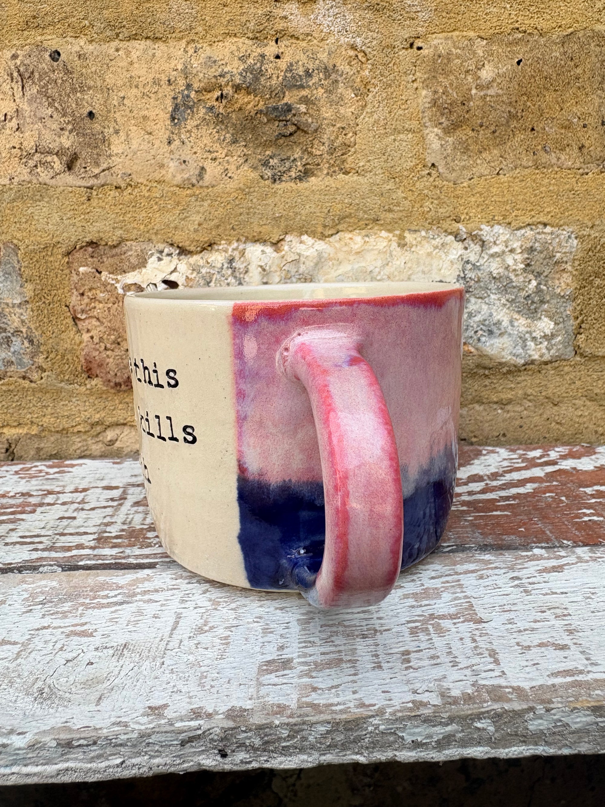 "I hope this email kills us both" mug (pink/ blue)