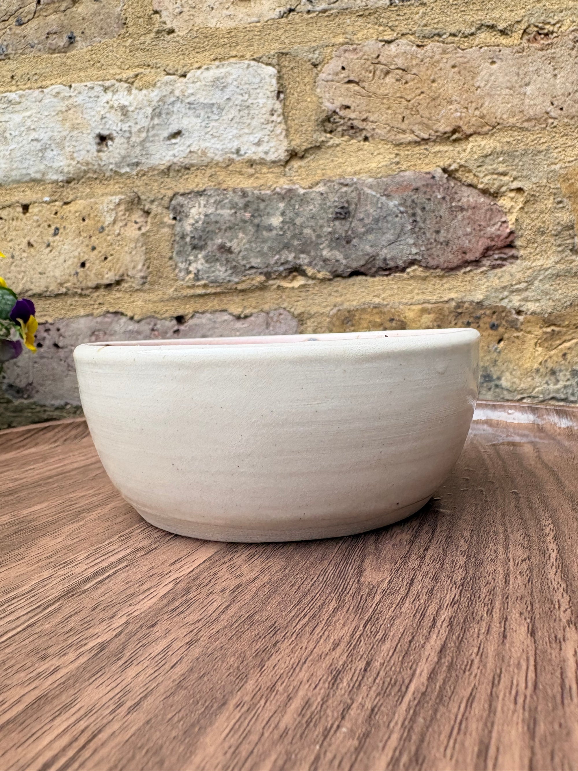"small talk survivor" bowl (pink giraffe)