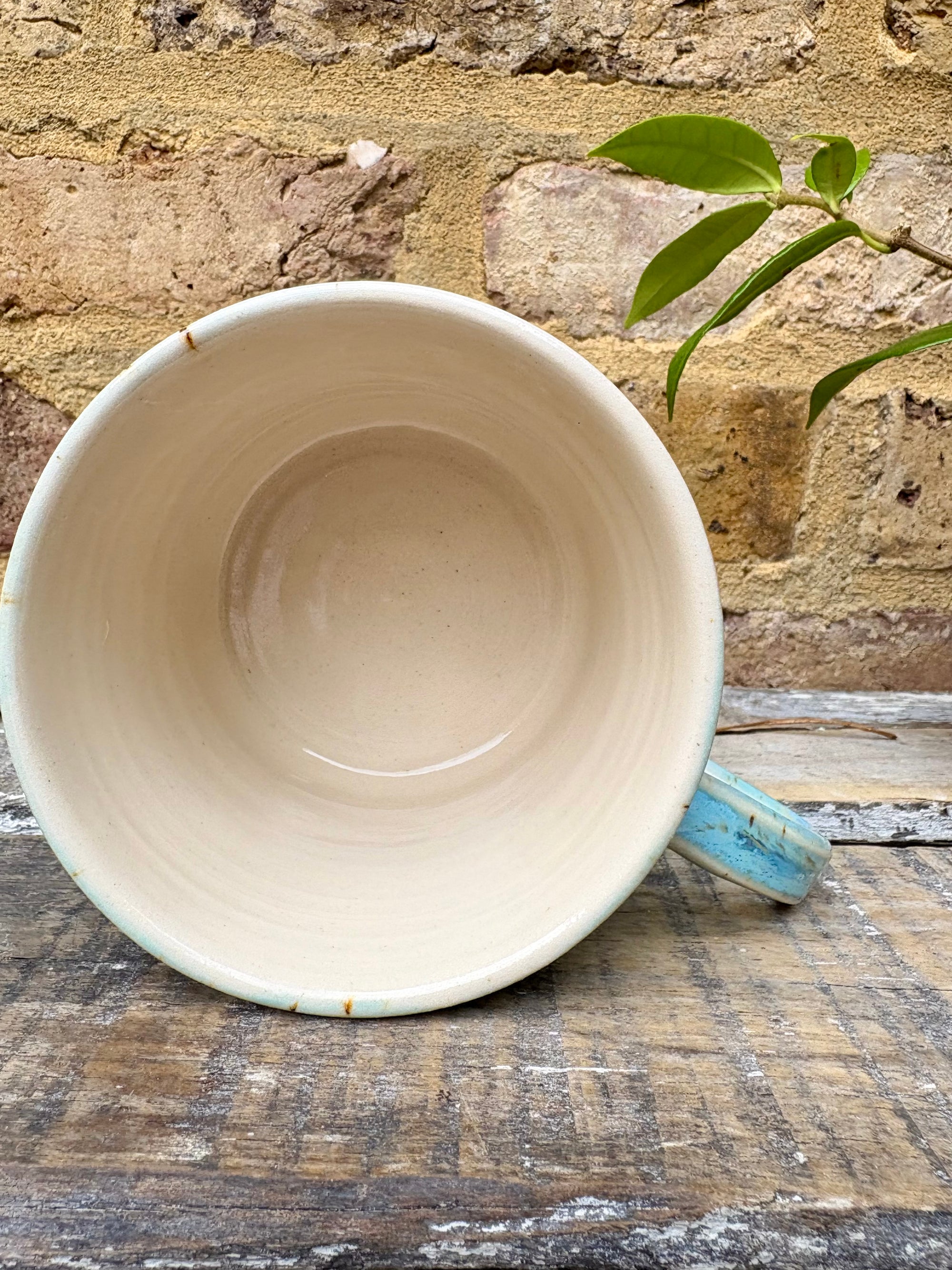 "not a fucking hugger" mug (light blue)
