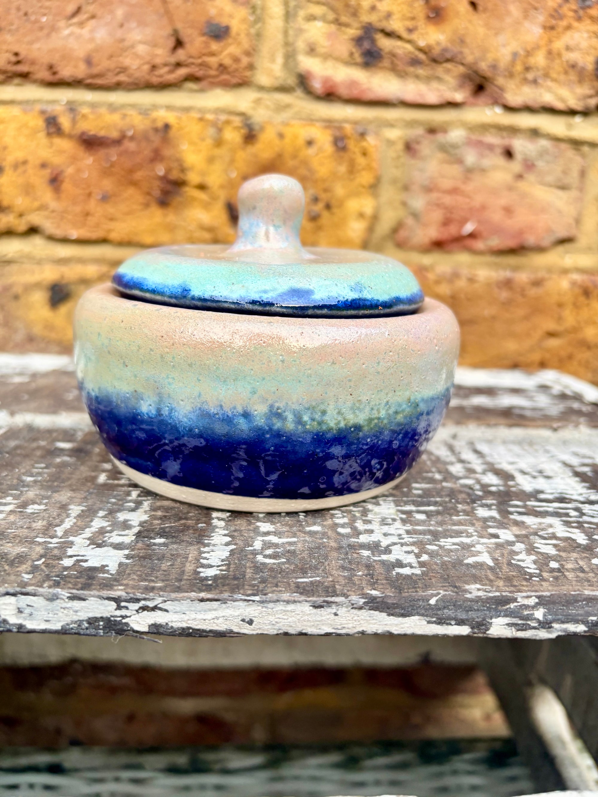 "definitely not drugs" lidded pot (blue night sky)