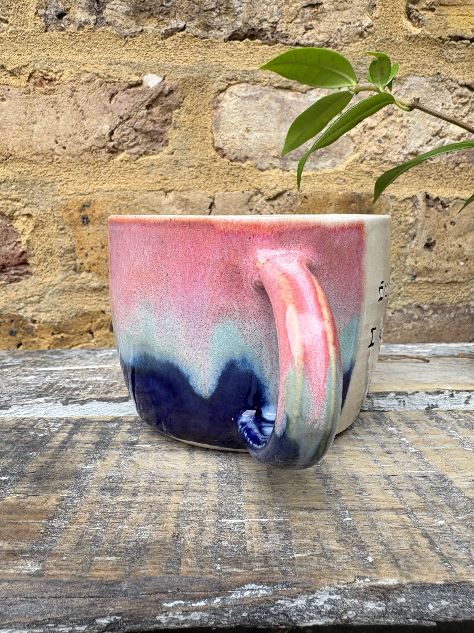 “fuck normal, i want magic" mug (Pink/blue)