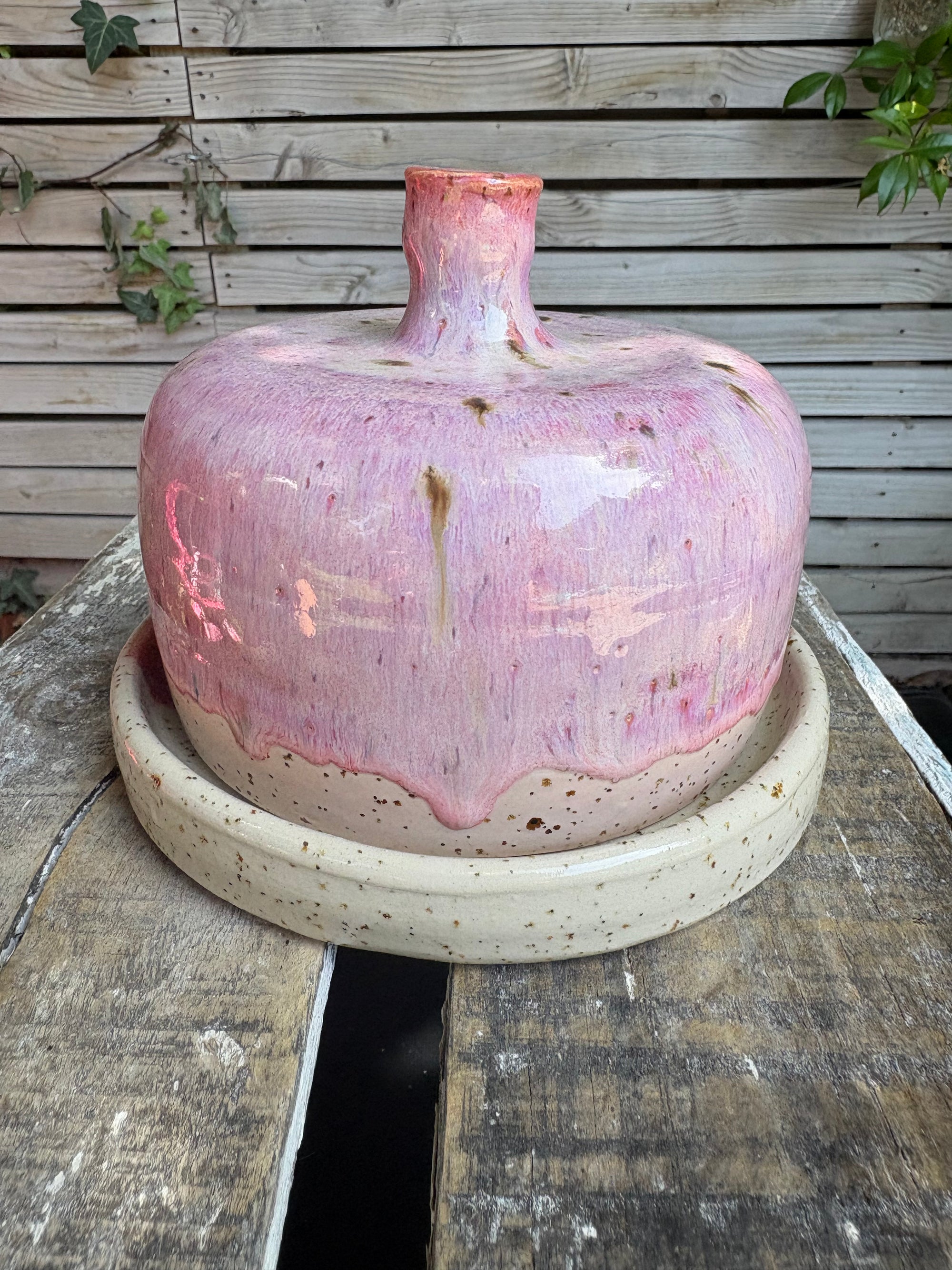 Butter Dish (butter slut, pink wood, flecked clay, knob)