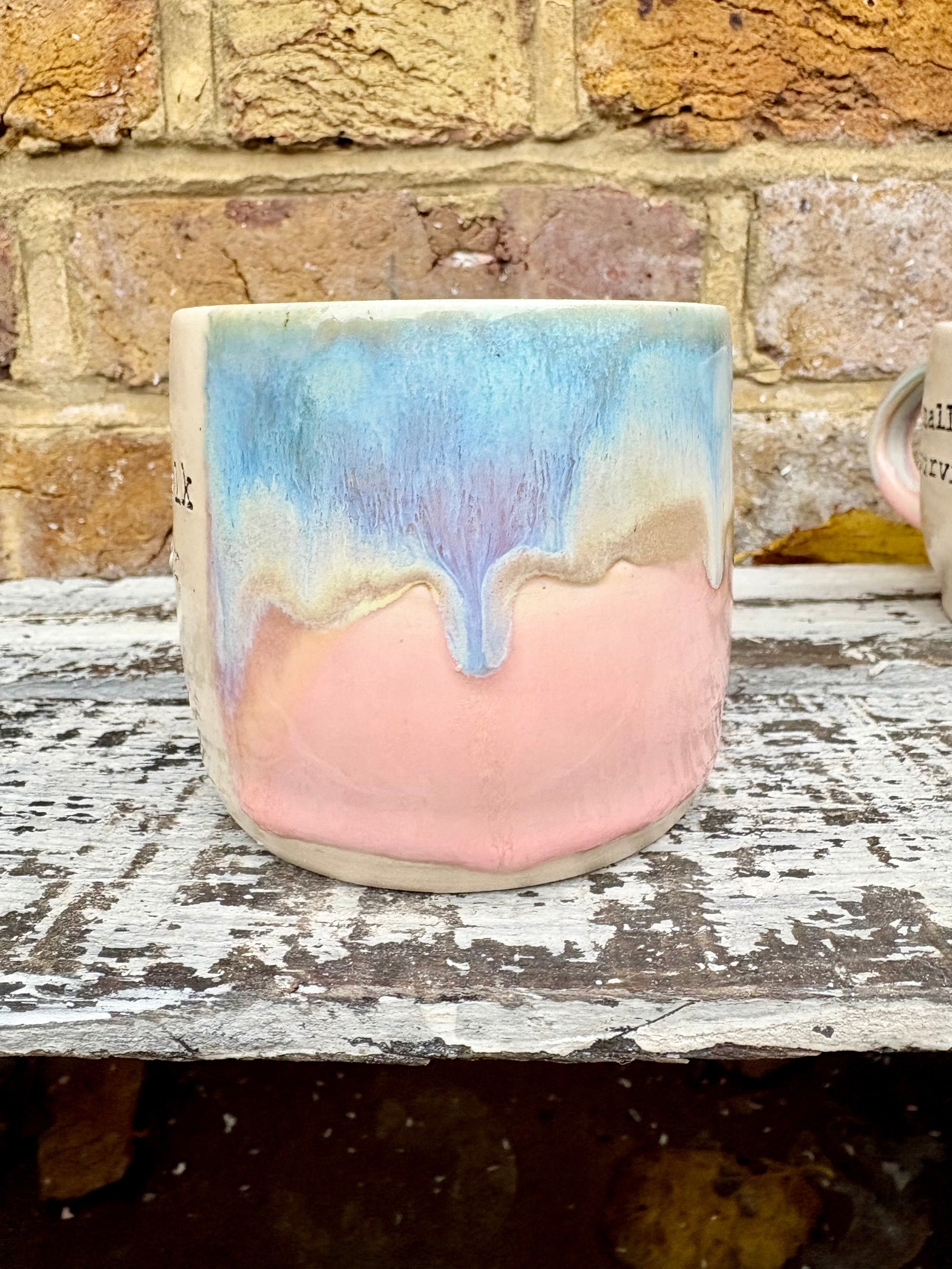 Small Talk Survivor mug (pinks and blue)