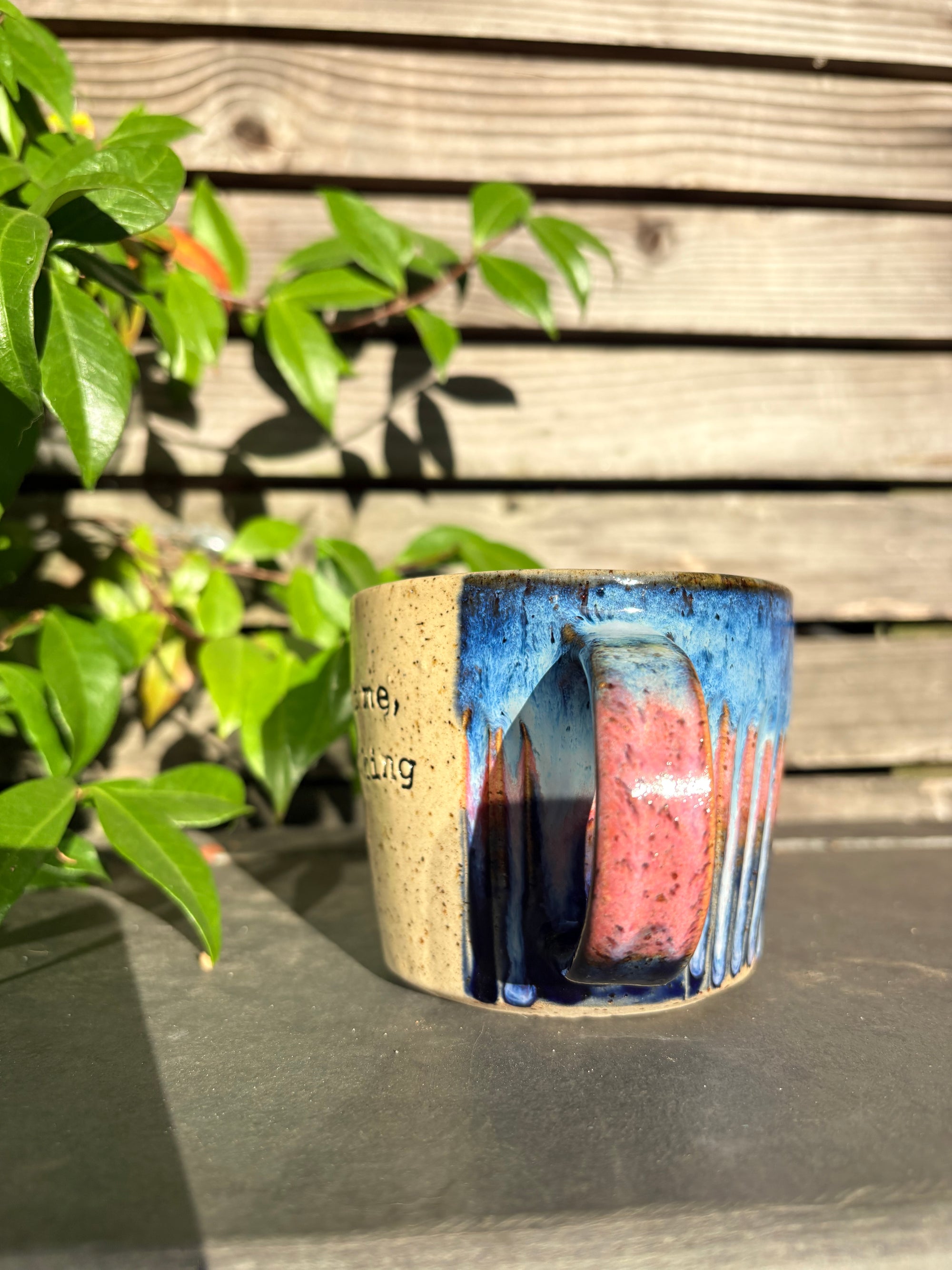 “It’s not me, it’s fucking you” blue/pink, 350ml)
