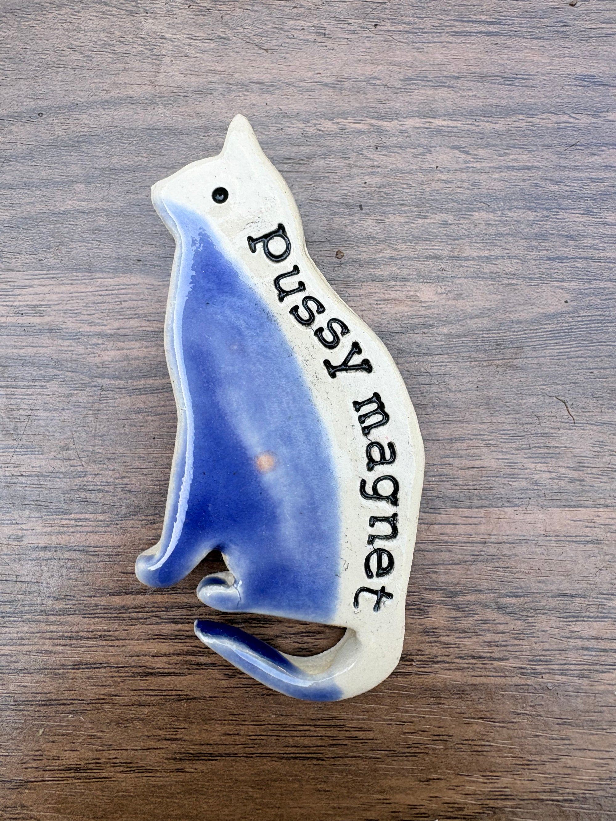 Pussy Magnet (light blue)