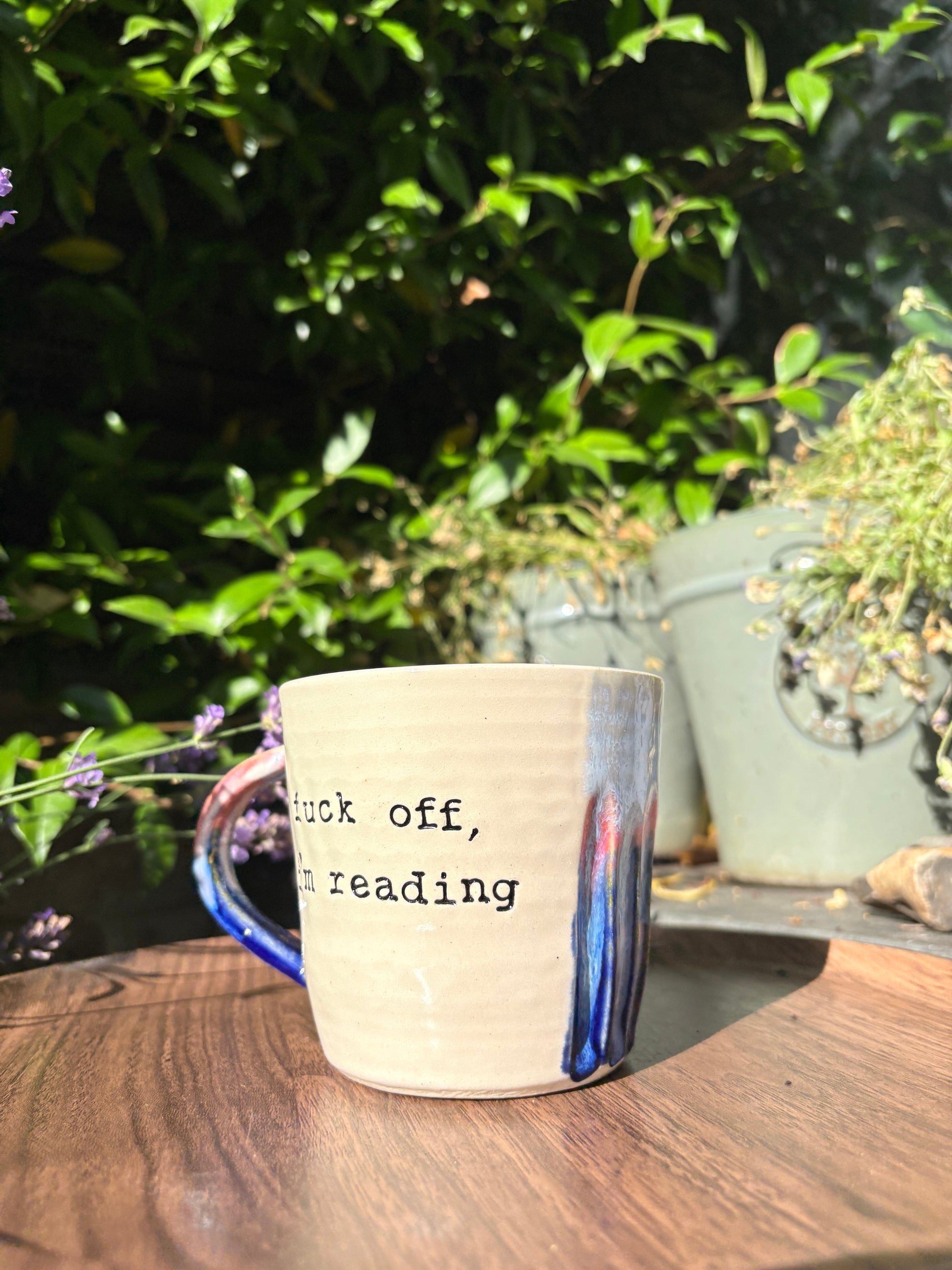 “Fuck off i'm reading" mug (blue night sky)