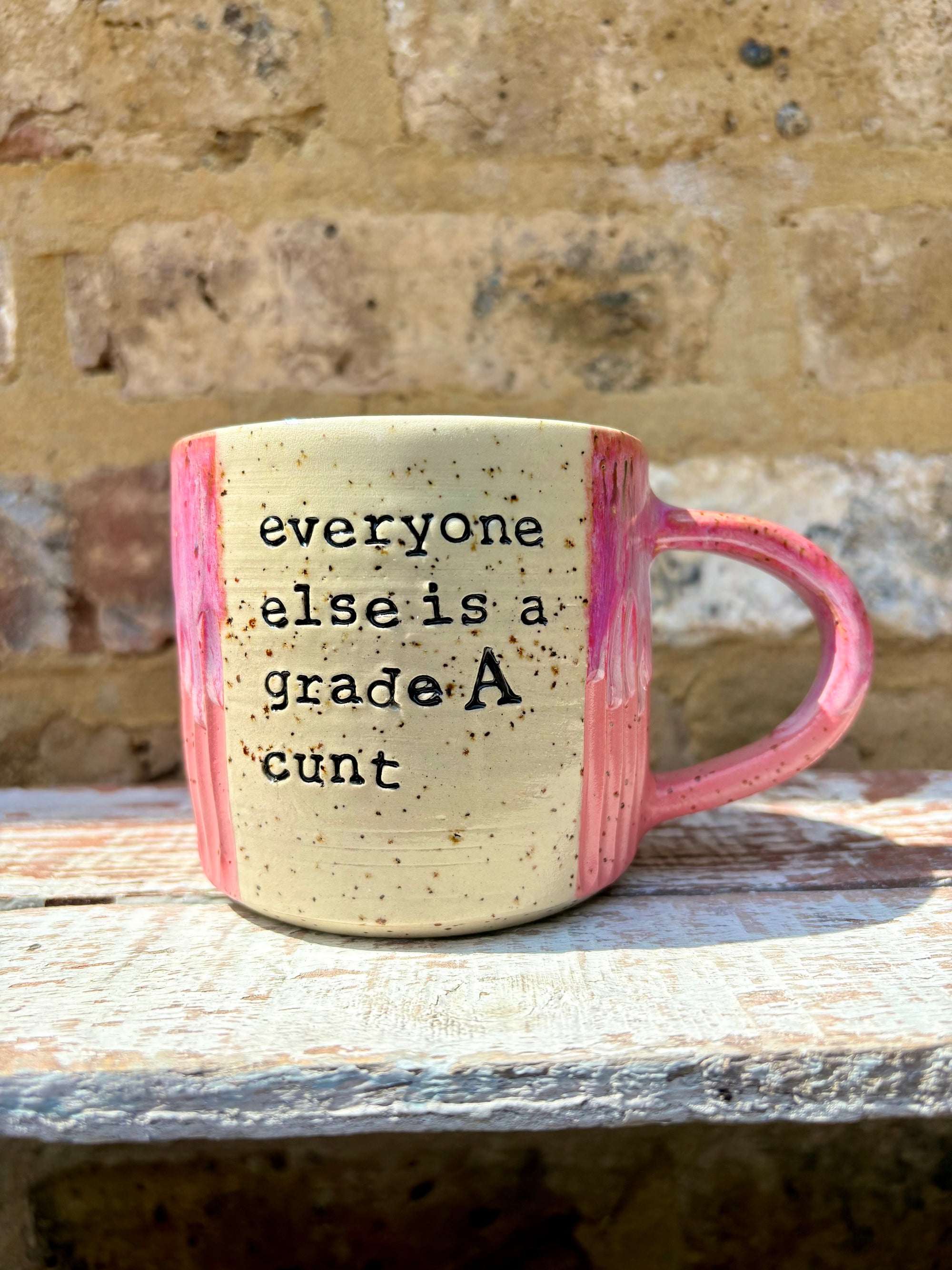 "everyone else is a grade A cunt" mug (pinks)