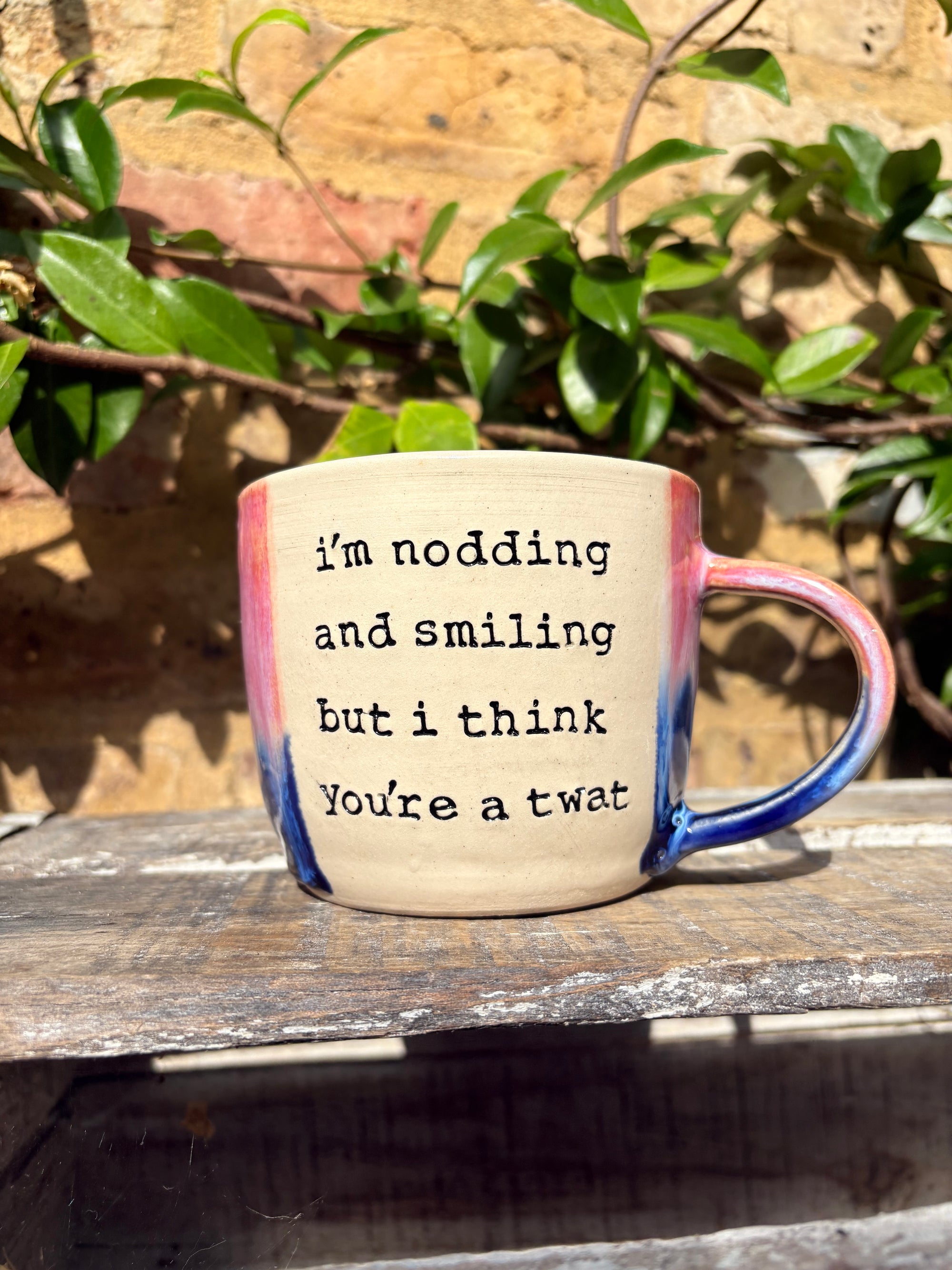 XL “i’m smiling and nodding but i think you’re a twat” mug (Pink/blue)