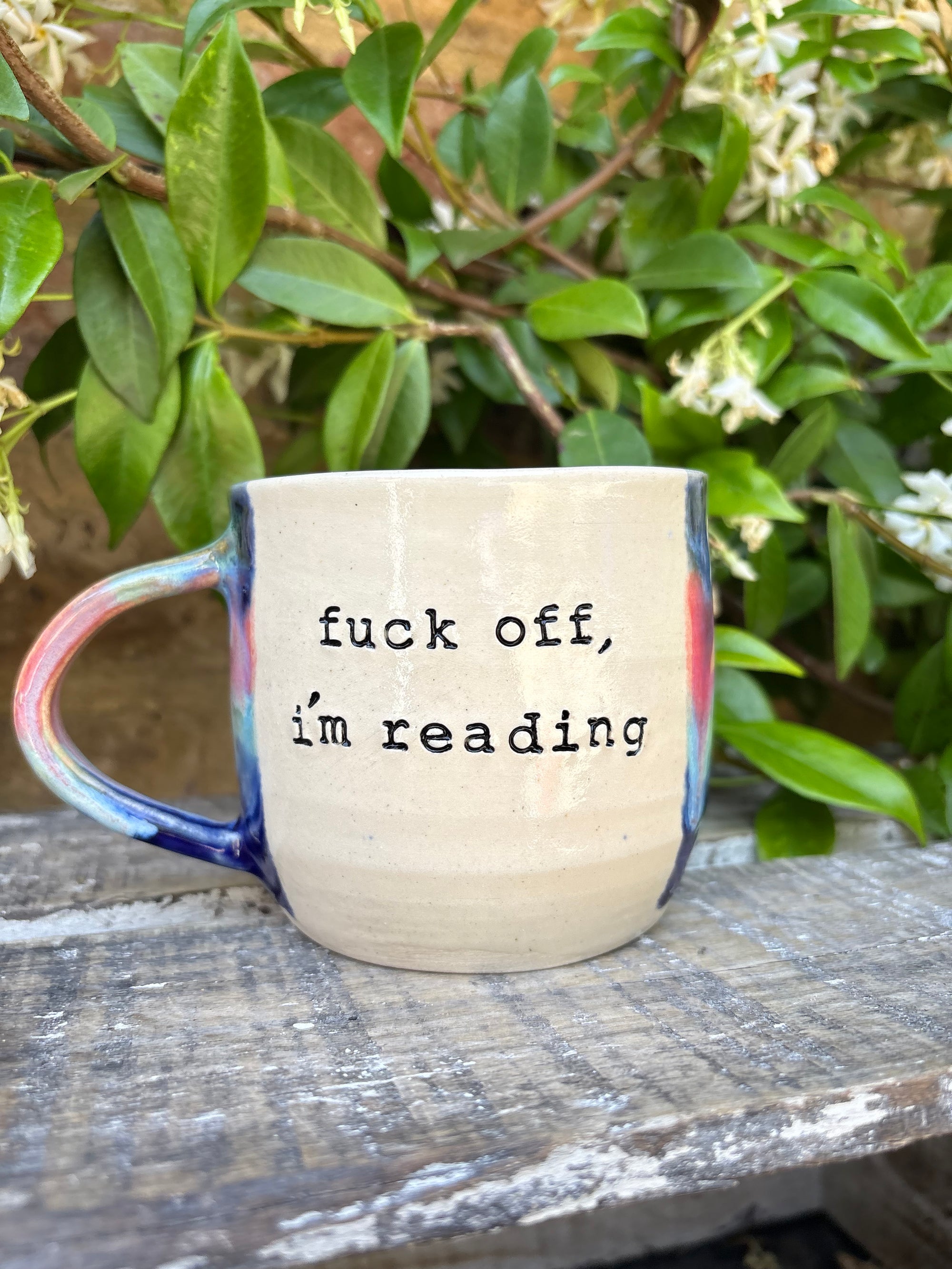 “Fuck off i'm reading" mug (Pink Night Sky)