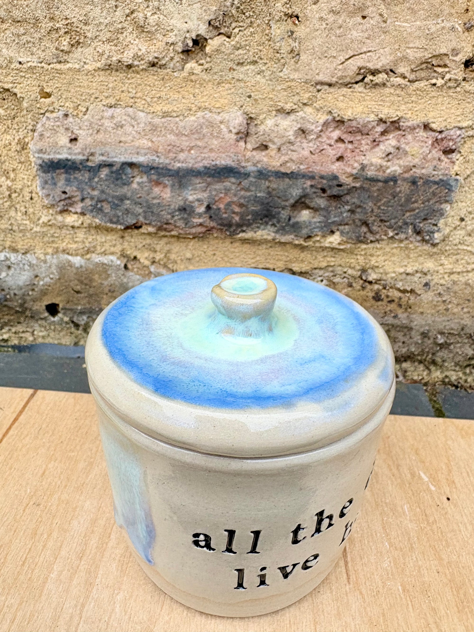 "all the drugs live here" lidded pot (oyster blue)