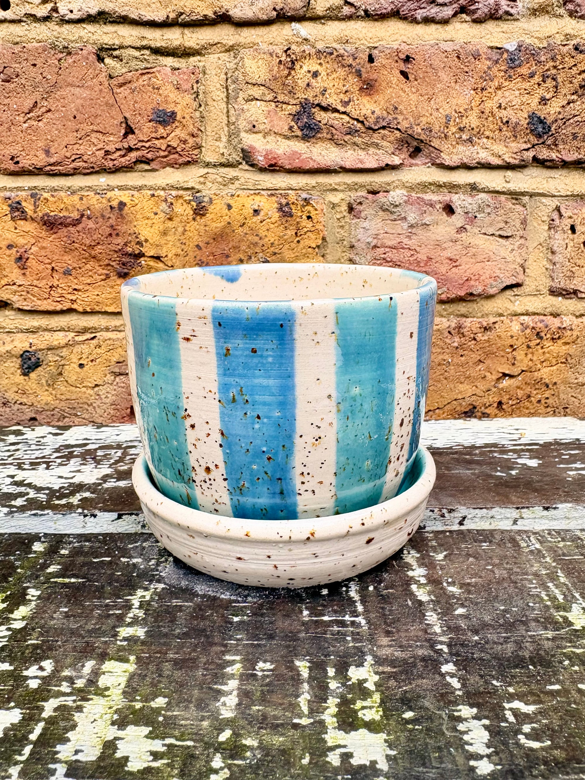 "don't let me die" planter with matching dish (blue stripe)