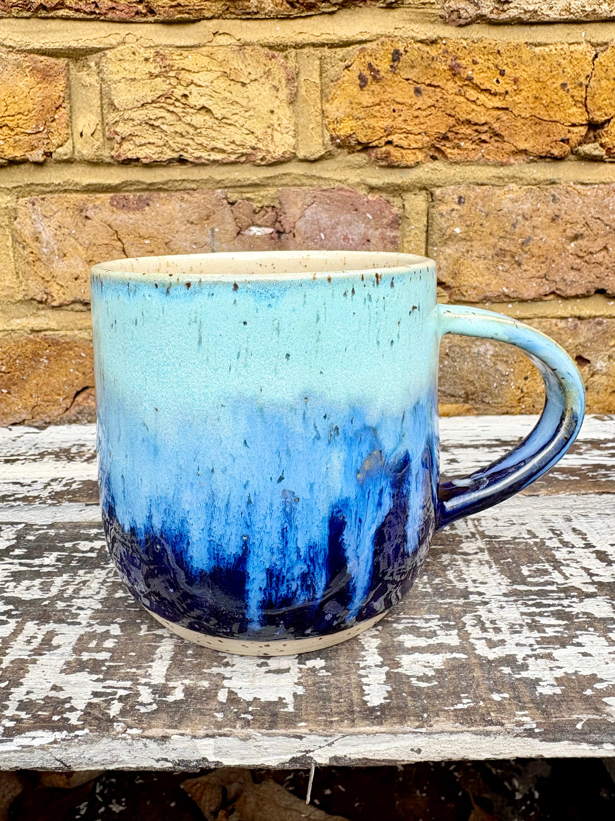 "cute but bat shit" mug