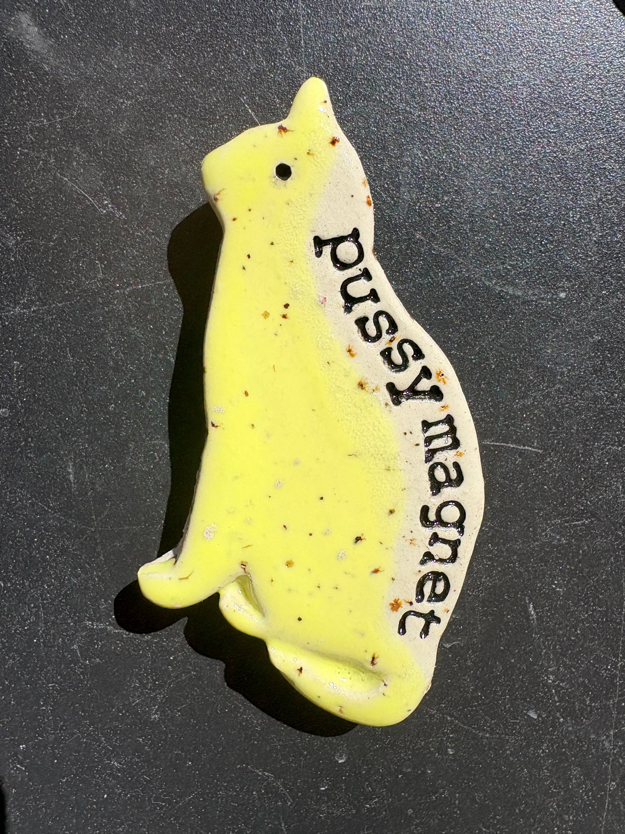 Pussy Magnet (yellow)
