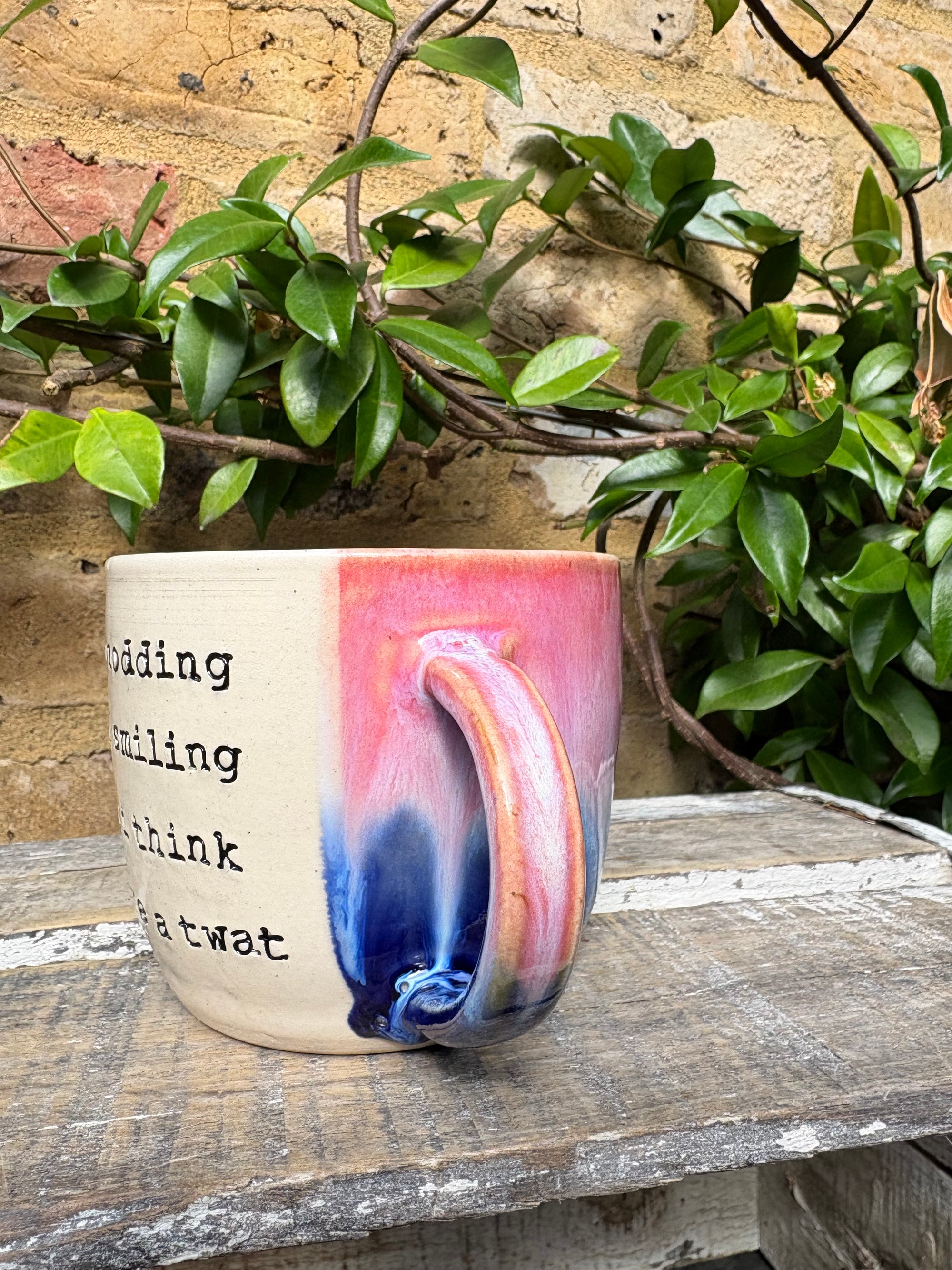 XL “i’m smiling and nodding but i think you’re a twat” mug (Pink/blue)