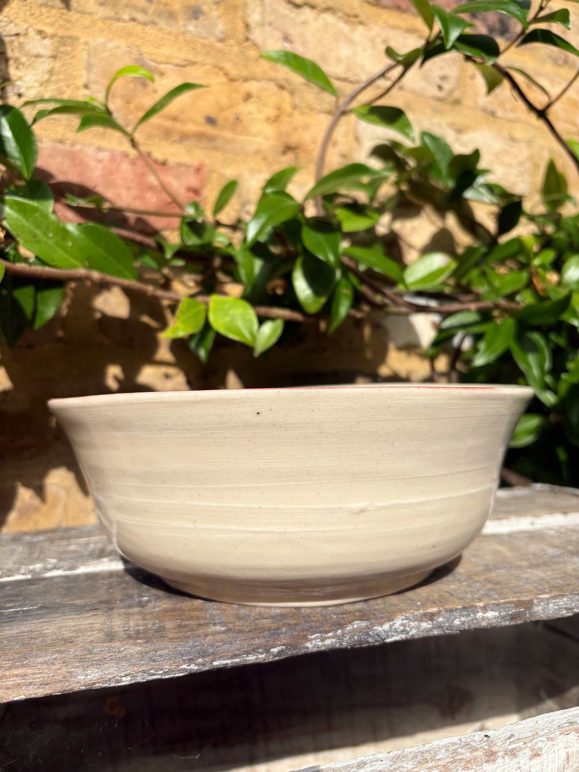 “eat, drink and fuck off by 9pm"  deep round salad/pasta bowl (pink, cream clay)