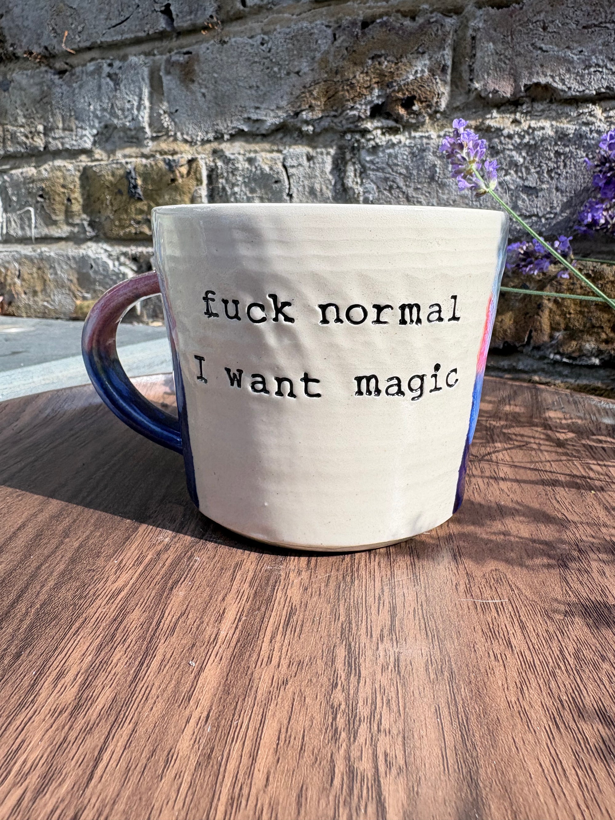 “fuck normal, i want magic", "cunty bastards" mug (Blue Night Sky)