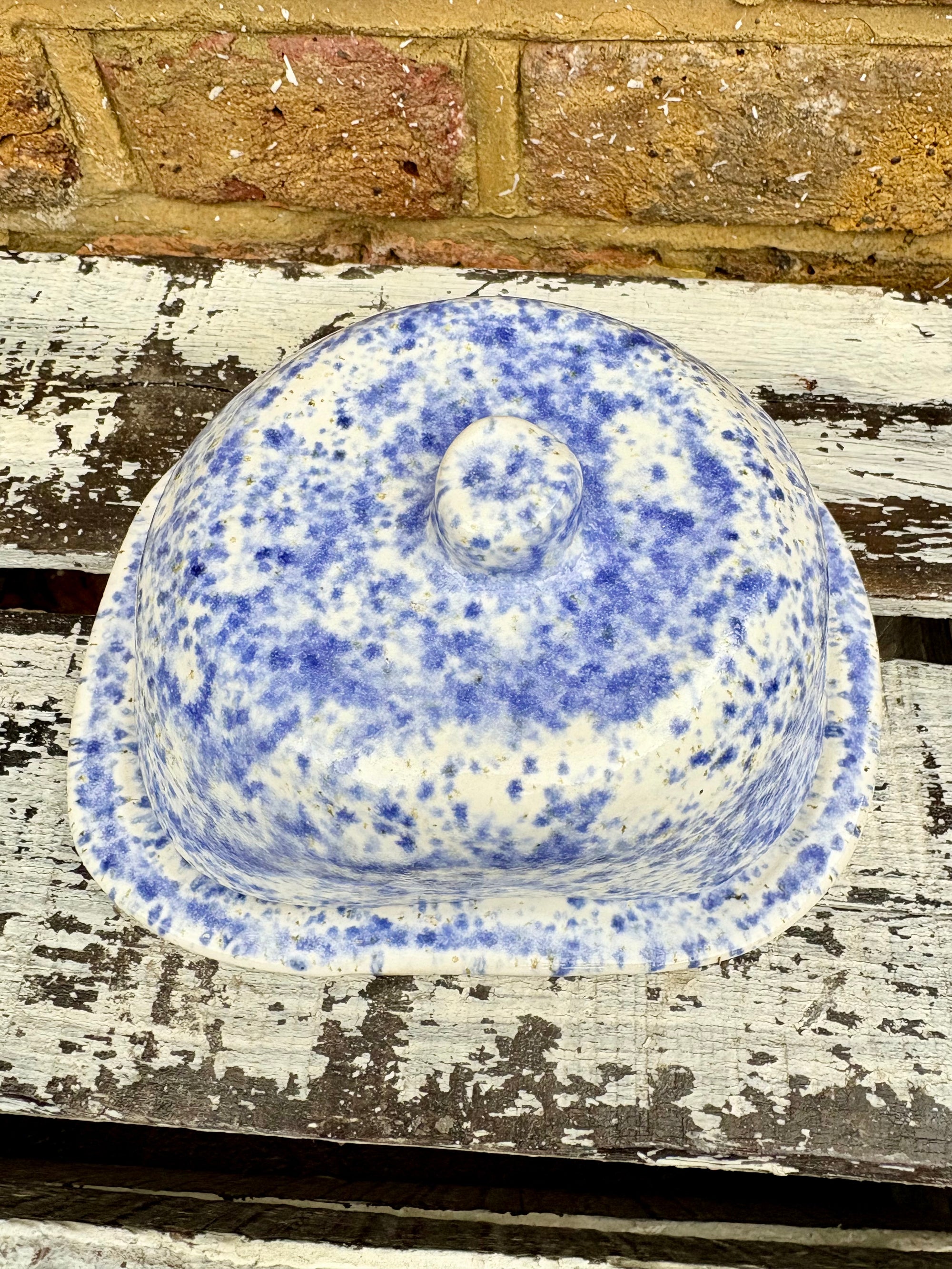 Butter Dish (butter slut, speckle blue)