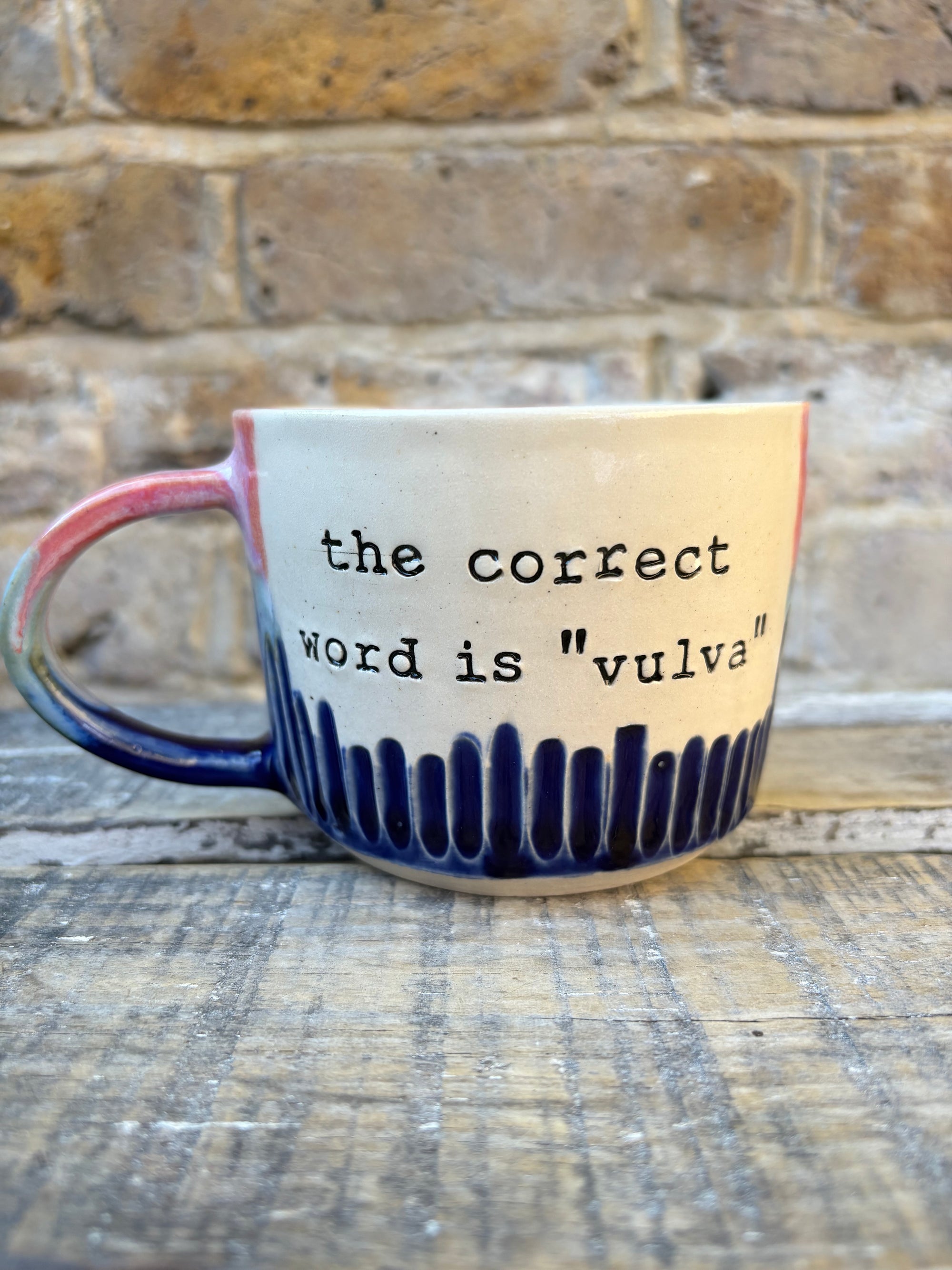 “the correct word is "vulva" mug (pink night sky)